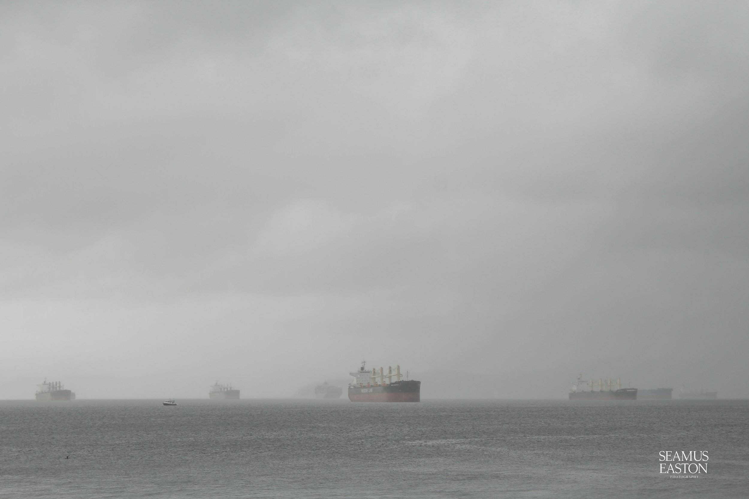 Several large cargo ships floating on a foggy, overcast sea with low visibility and no clear horizon line.