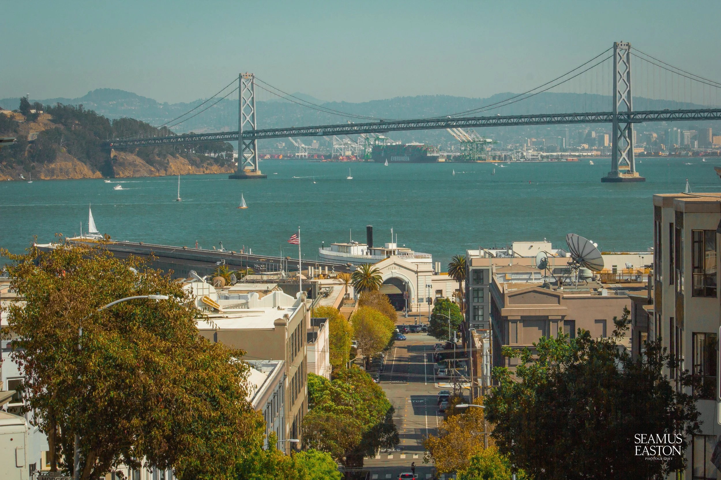 A view of a city with buildings, trees, and a street in the foreground. The water and a large bridge span across the water in the background, with ships and sailboats visible on the water. Hills are seen beyond the bridge.