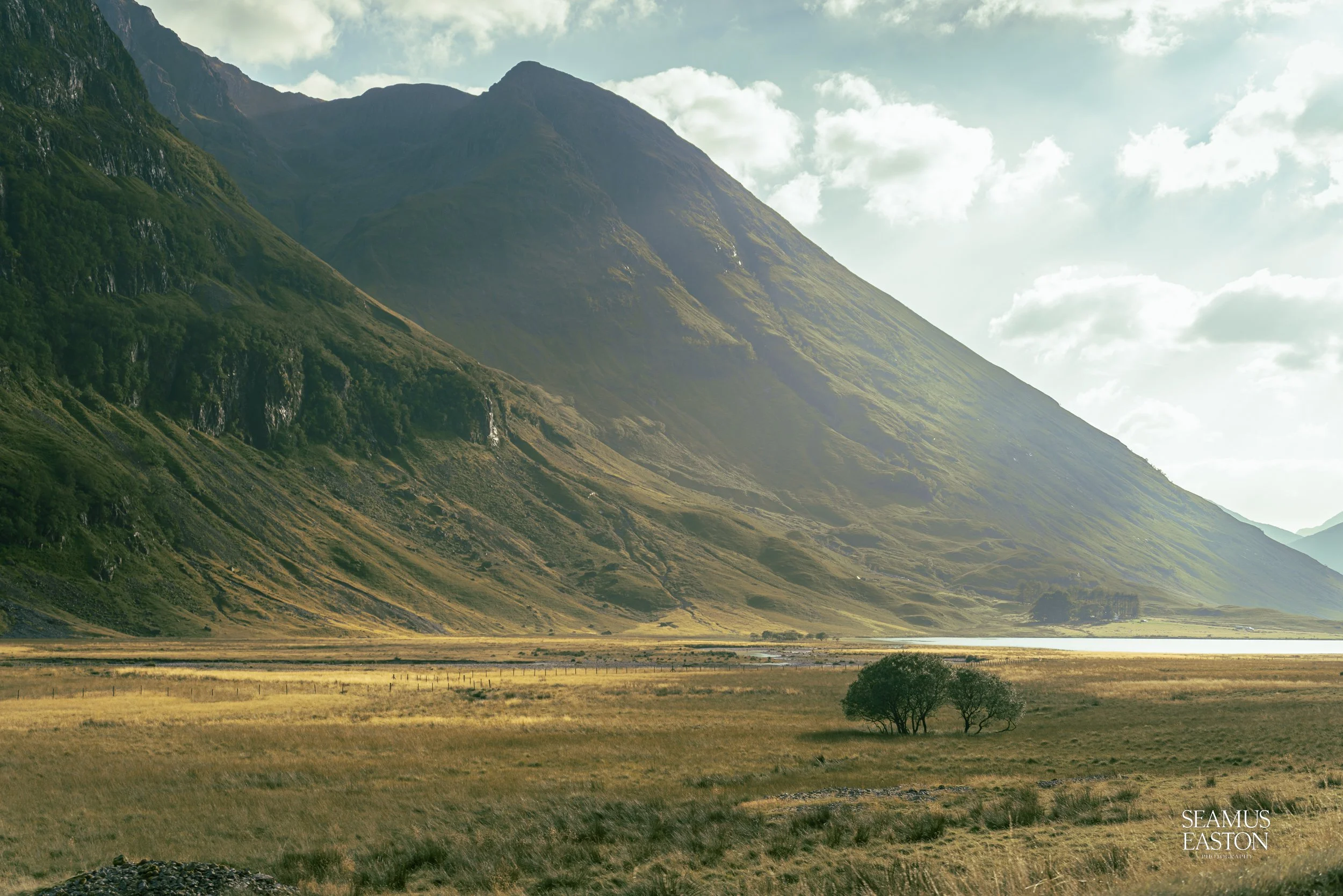 A vast open landscape with a grassy plain, a small cluster of trees, a lake in the distance, and large green mountains with patches of forest and rocky terrain under a partly cloudy sky.
