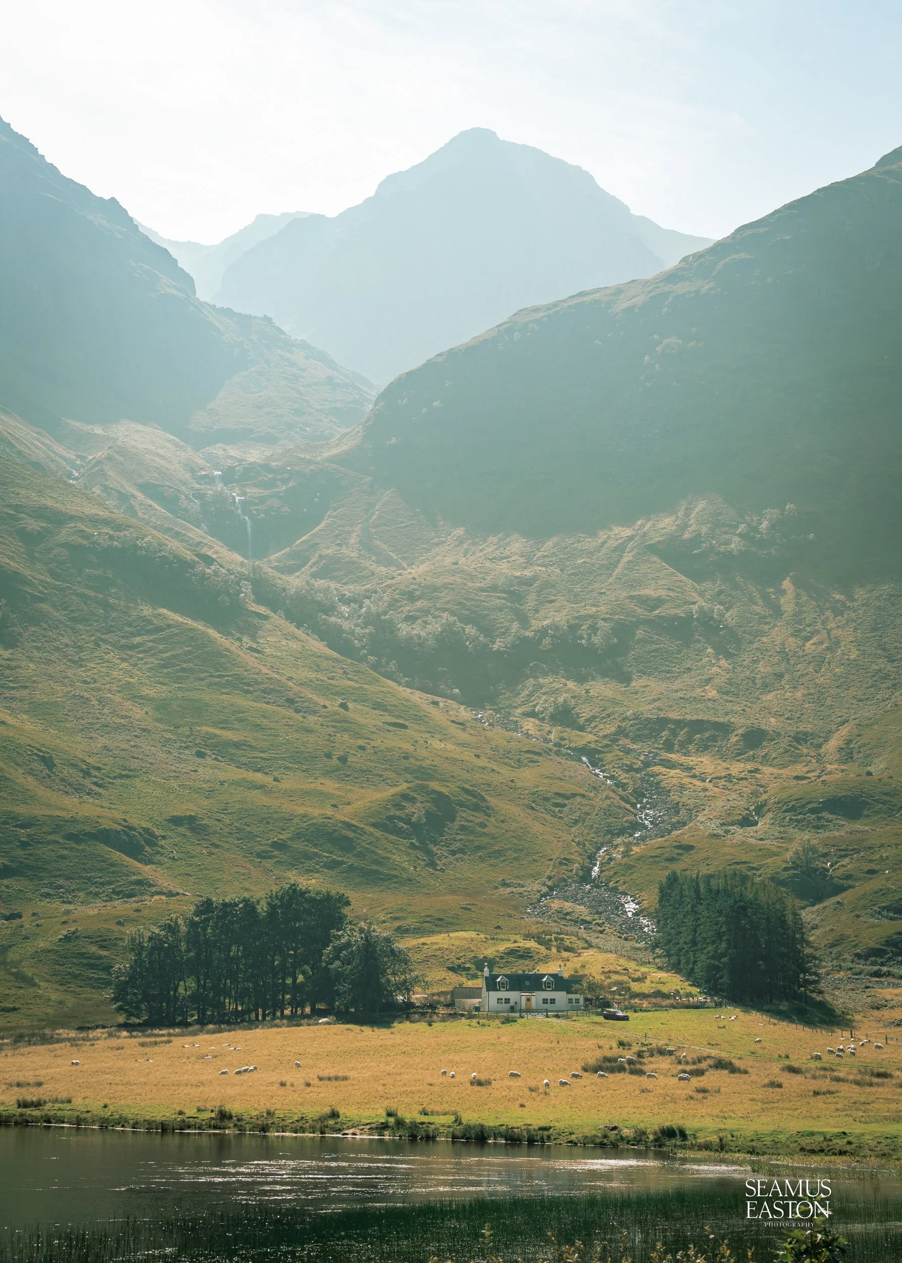 Scenic landscape of a mountainous area with a house, trees, grazing sheep, a stream, and a body of water in the foreground.