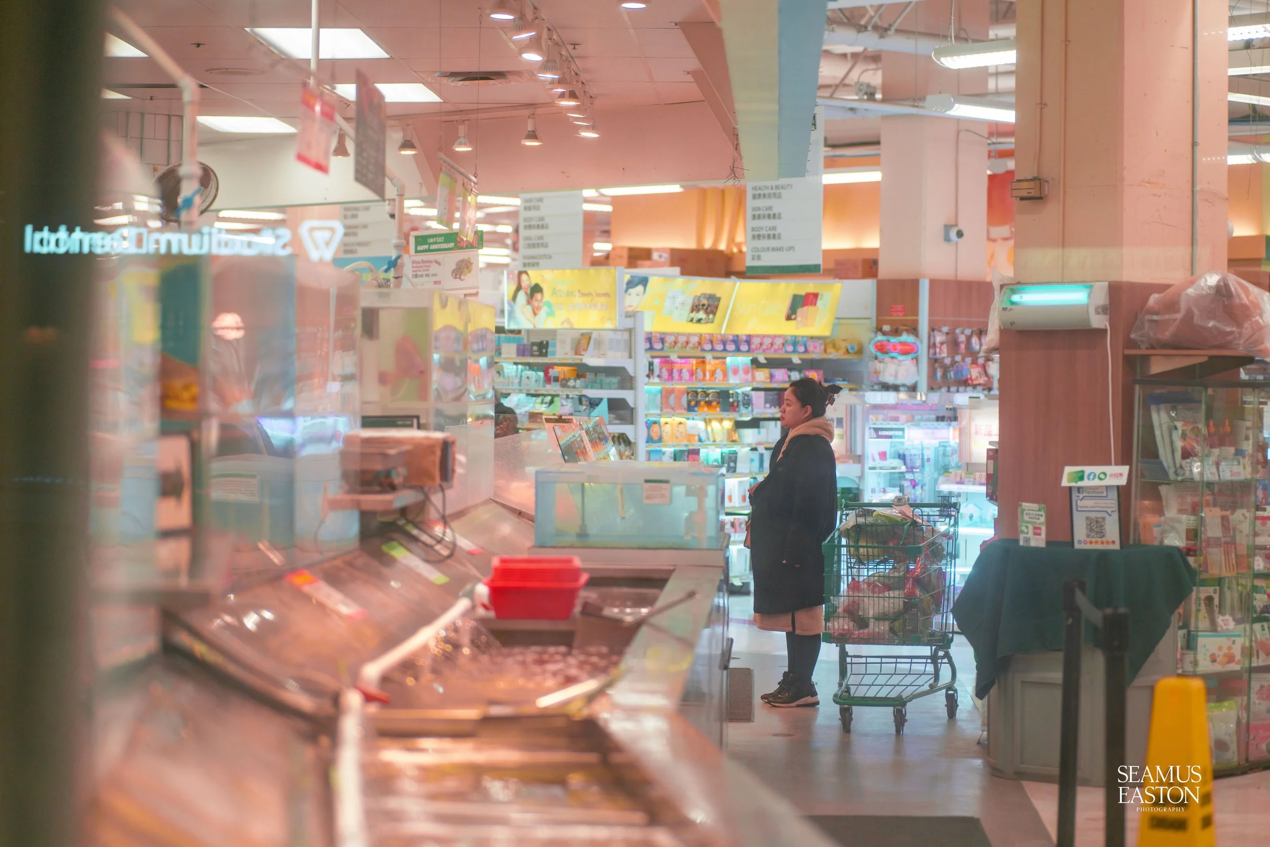 A woman stands in a grocery store aisle, looking at products on the shelves, with a shopping cart beside her filled with groceries.