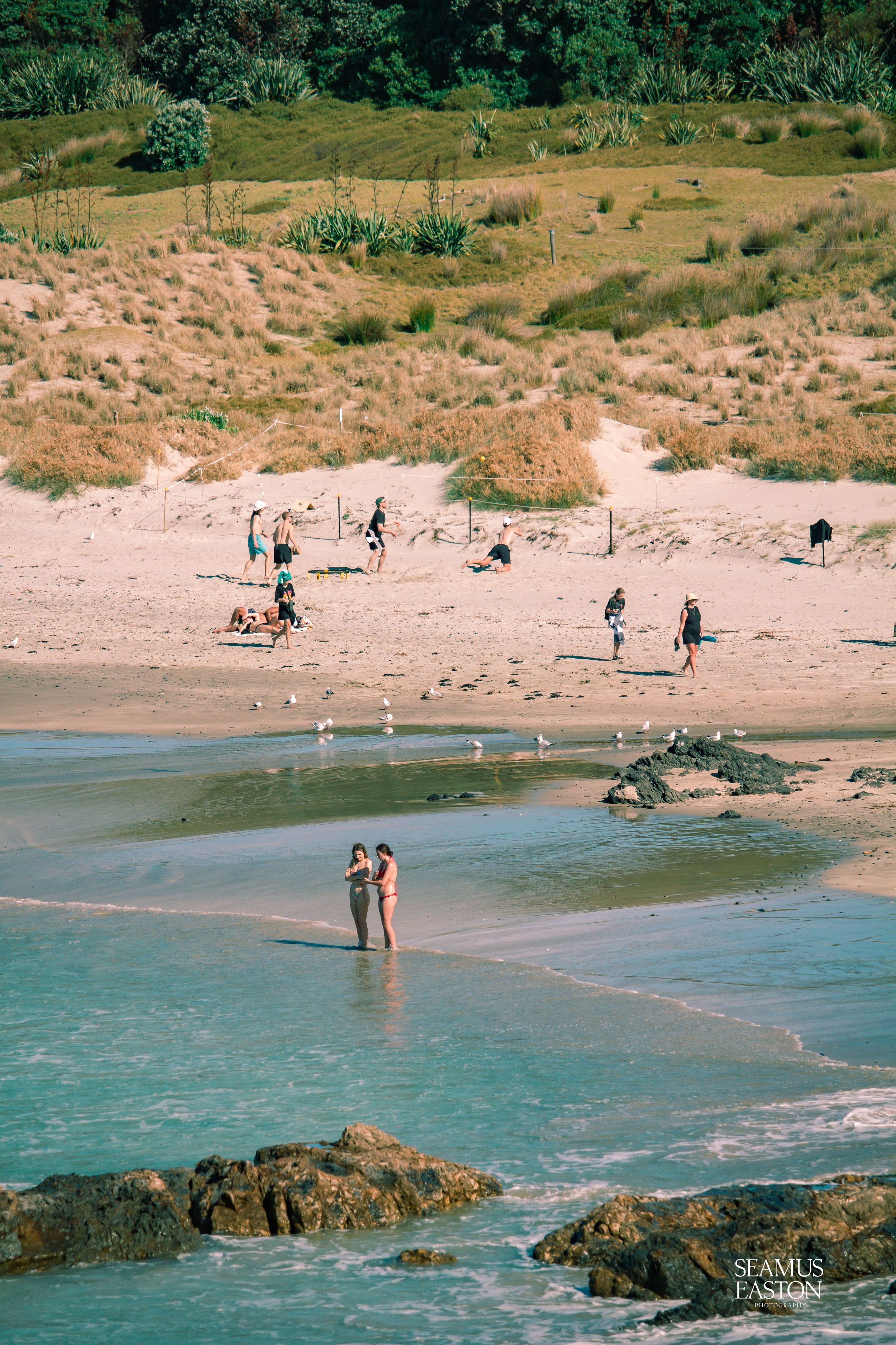 People enjoying a day at the beach with sandy shore, ocean water, and grassy dunes in the background. Some are sunbathing, walking, or wading in the water, with seagulls nearby.
