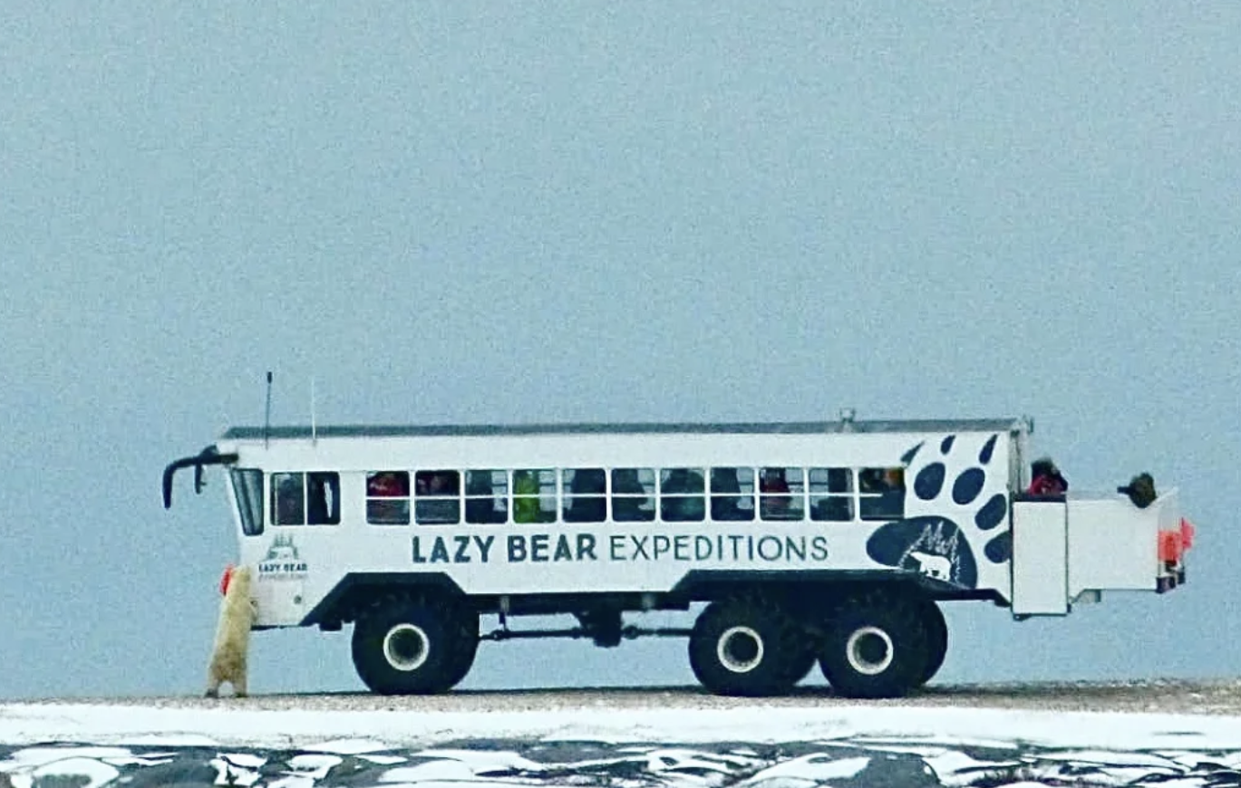 Lazy Bear Expeditions: Arctic Adventure Guide