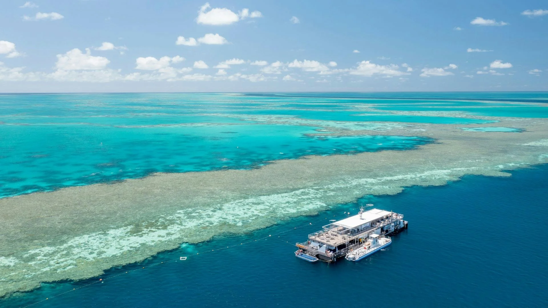 Reefworld-Pontoon-at-Hardy-Reef.jpg