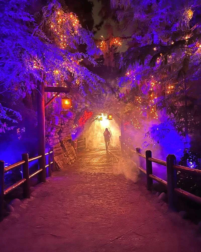 Colorful lights and mist transform Redwood Creek Challenge Trail into Villains Grove during Oogie Boogie Bash