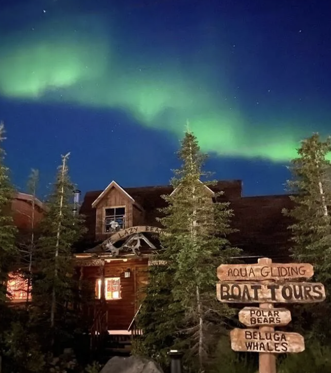 Magical northern wilderness scene at night, with the Northern Lights glowing bright green across a deep blue, star-filled sky.