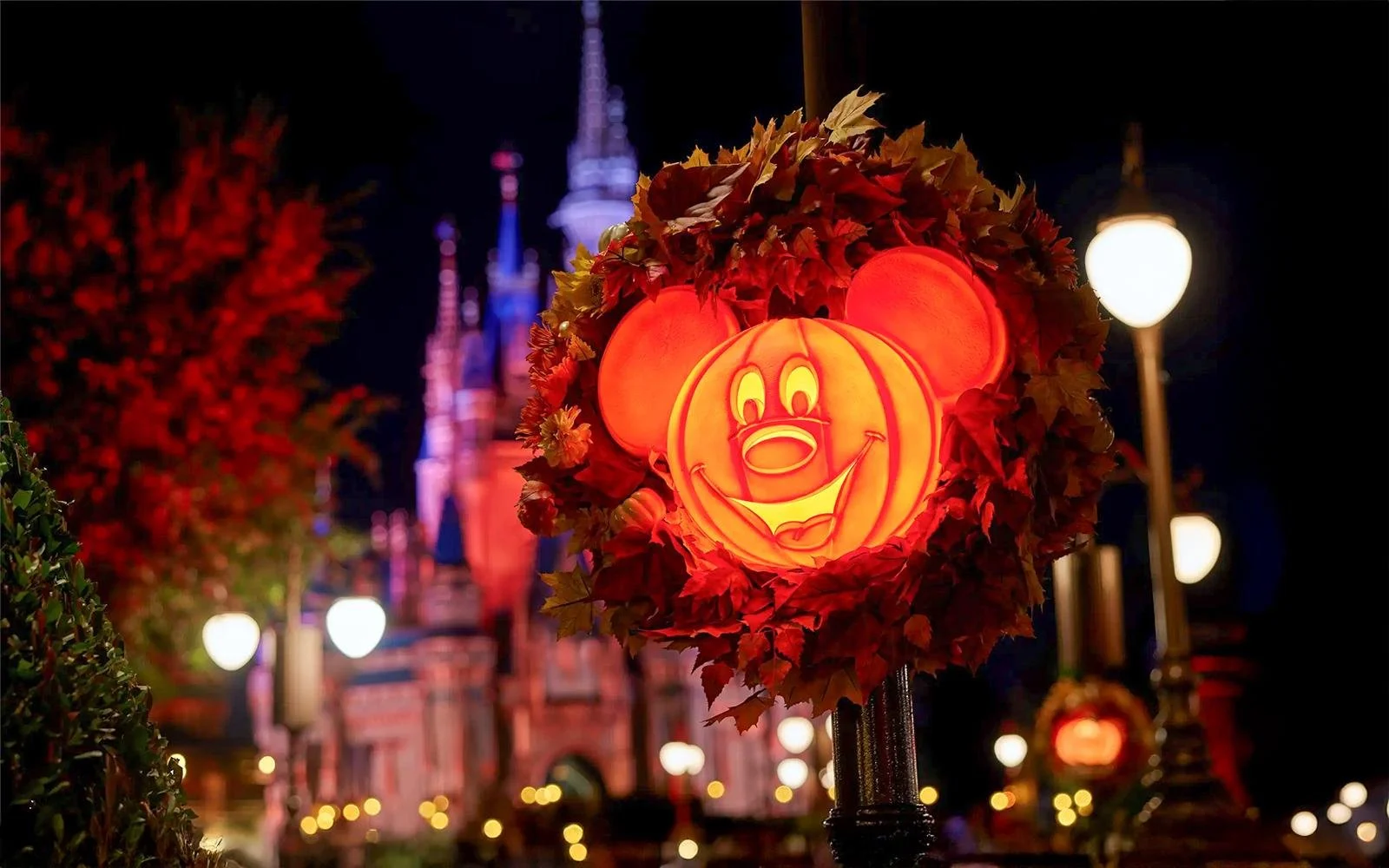 Glowing Mickey-shaped pumpkins line Main Street, U.S.A. with Cinderella Castle illuminated for Halloween at Walt Disney World.