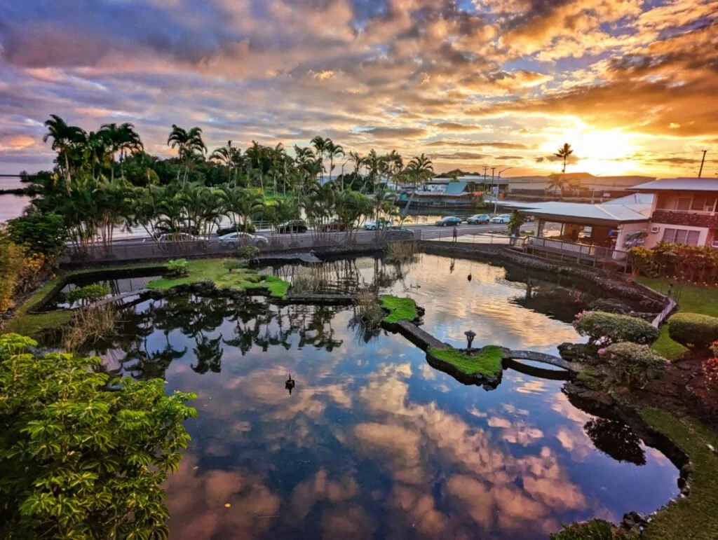 Sunset view from SCP Hilo Hotel overlooking a tropical garden pond, palm trees, and the waterfront on Hawaii’s Big Island.
