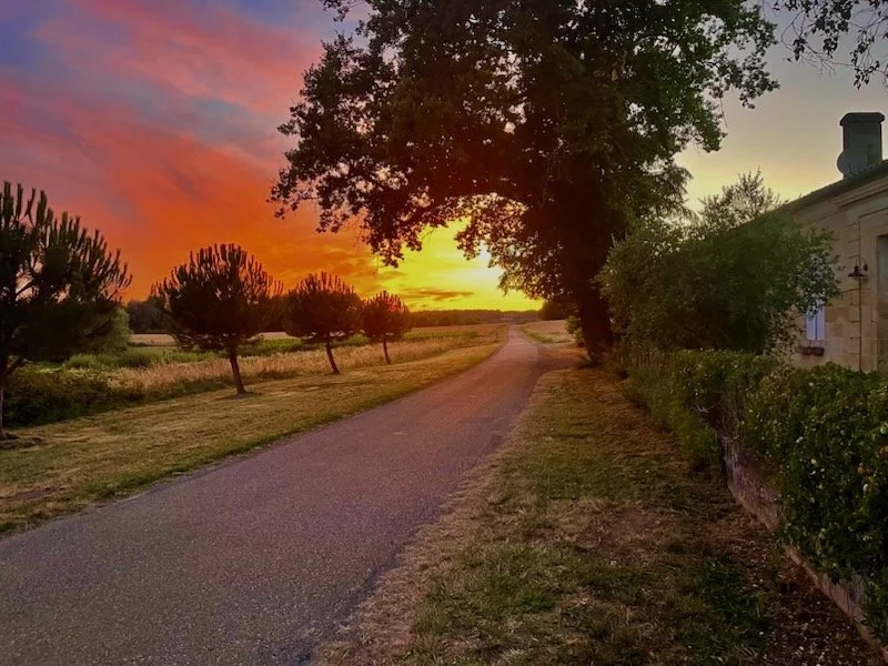 Day 3, July 12, 2025, Acquiring appliances and more household goods