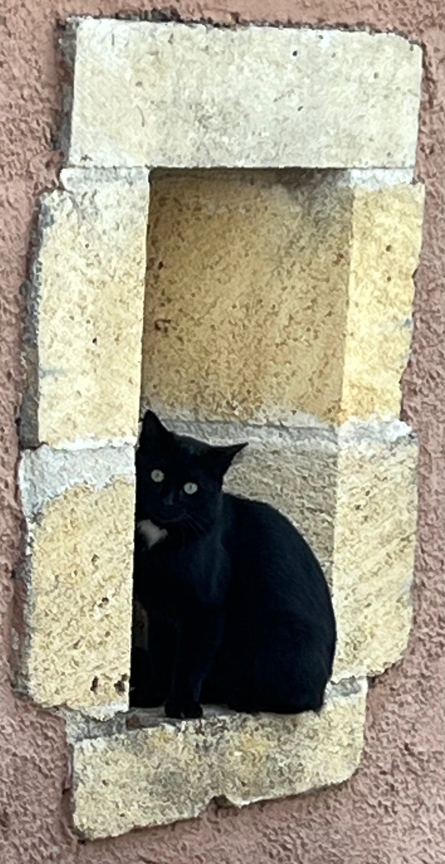 Another picture of Minuit.