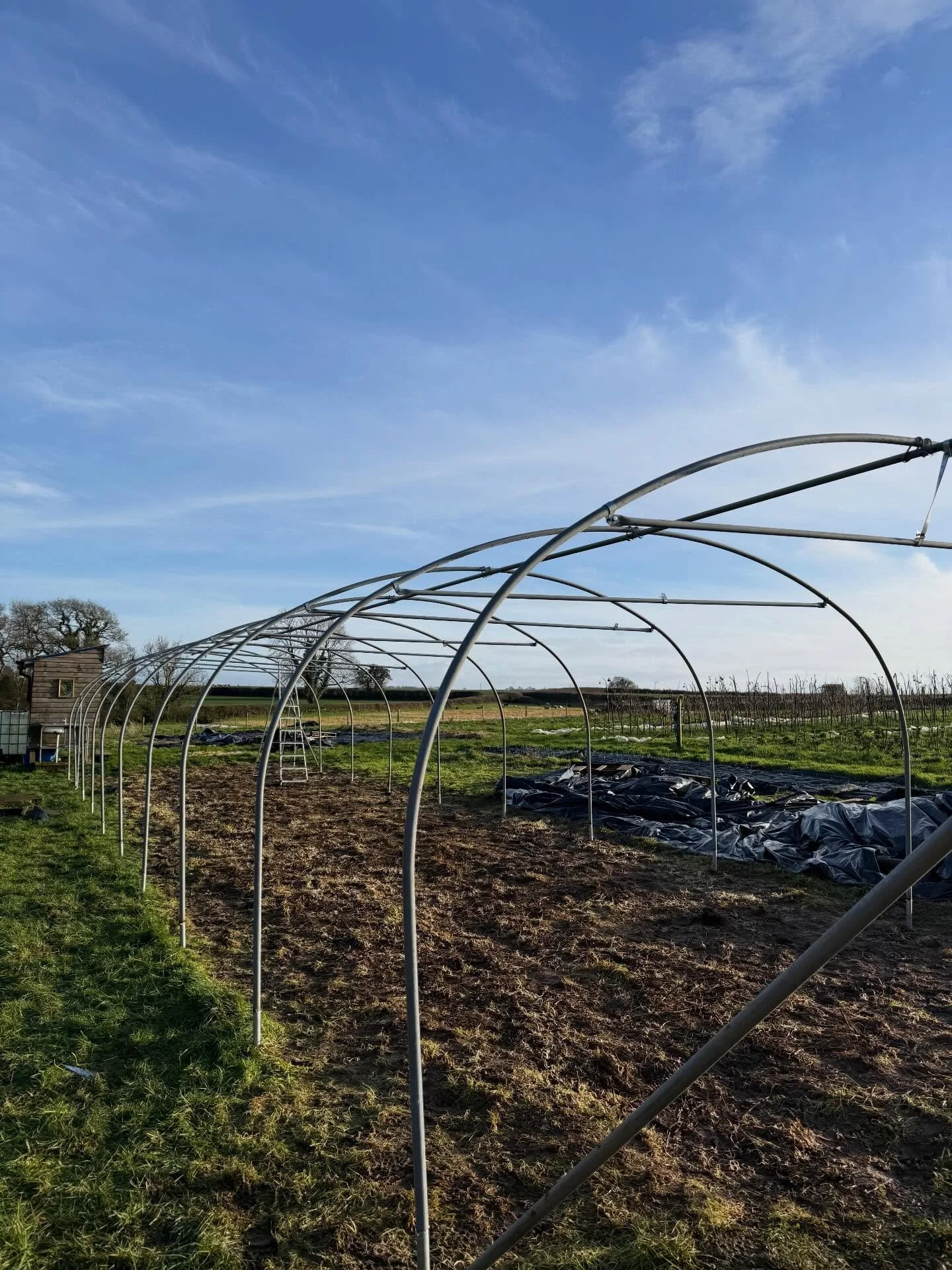 Week 4 round up 👊

This week we&rsquo;ve really been setting in some foundations for the season ahead, we started our first sowings and can really notice the longer days, but not by much mind! 

The first of a couple of new tunnels going up!
We&rsqu