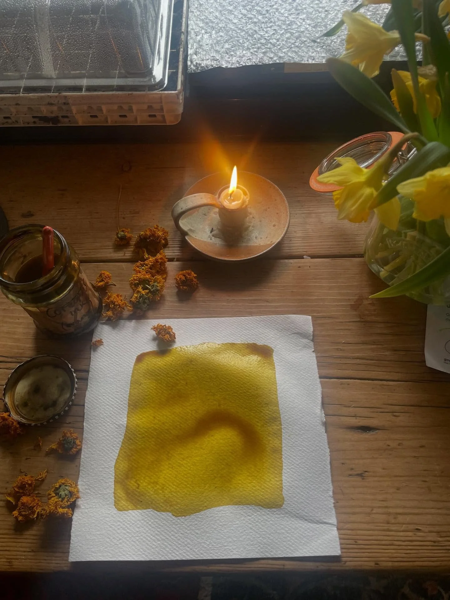 From fresh flower to dried to ink. 

A simple but inward drawing process. 

It has also become pigment, for later pastel making perhaps. 

Trying to share more snaps of the process and life behind the scenes. Is there anything you&rsquo;d like to see