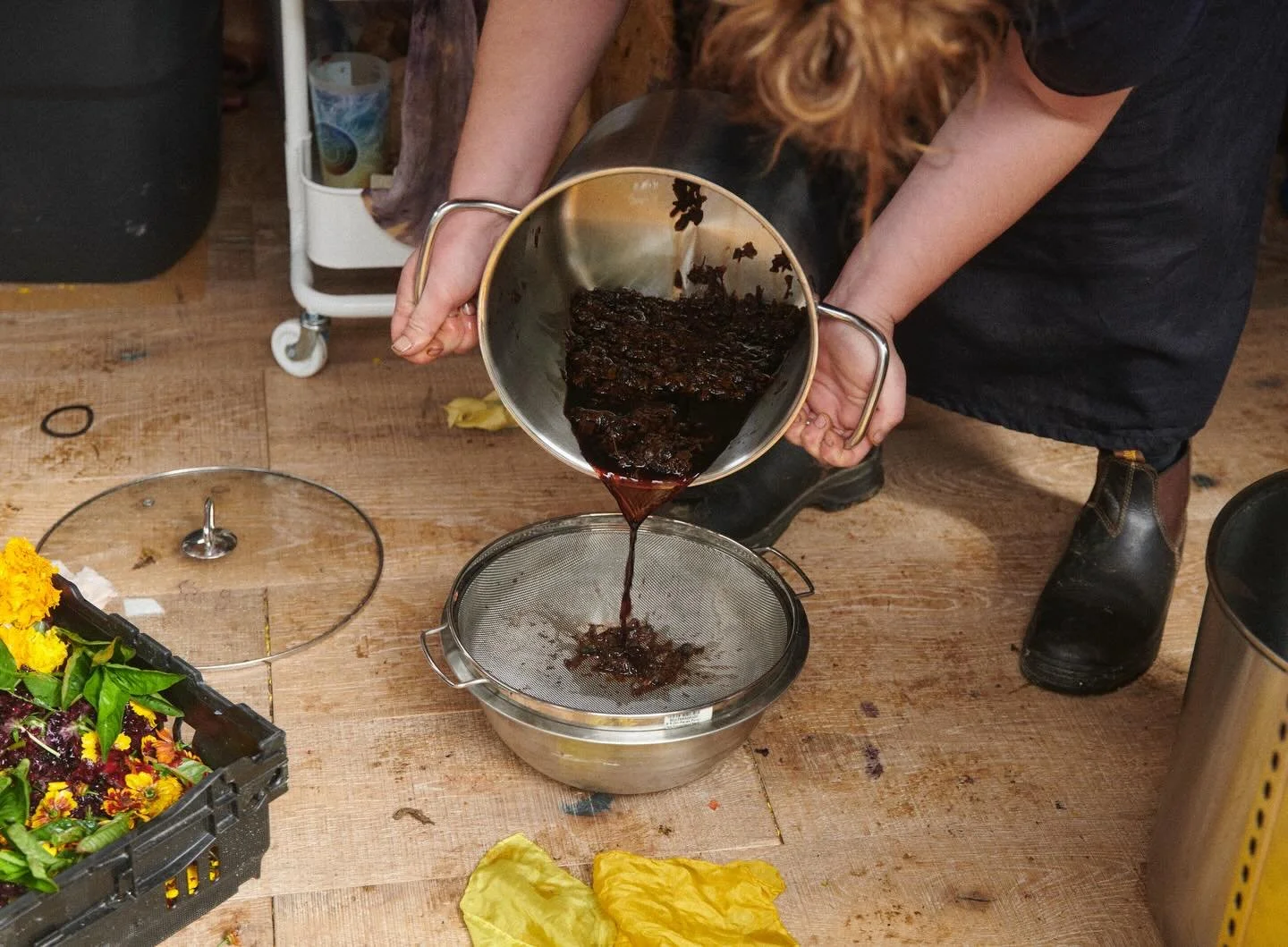 Straining the dyes from summer harvests. This one&rsquo;s coreopsis - we&rsquo;ve been creating dye baths, extracting inks and making pigments. Now is a time of testing and collaboration between ourselves and the plants of summer gone. 

Here&rsquo;s