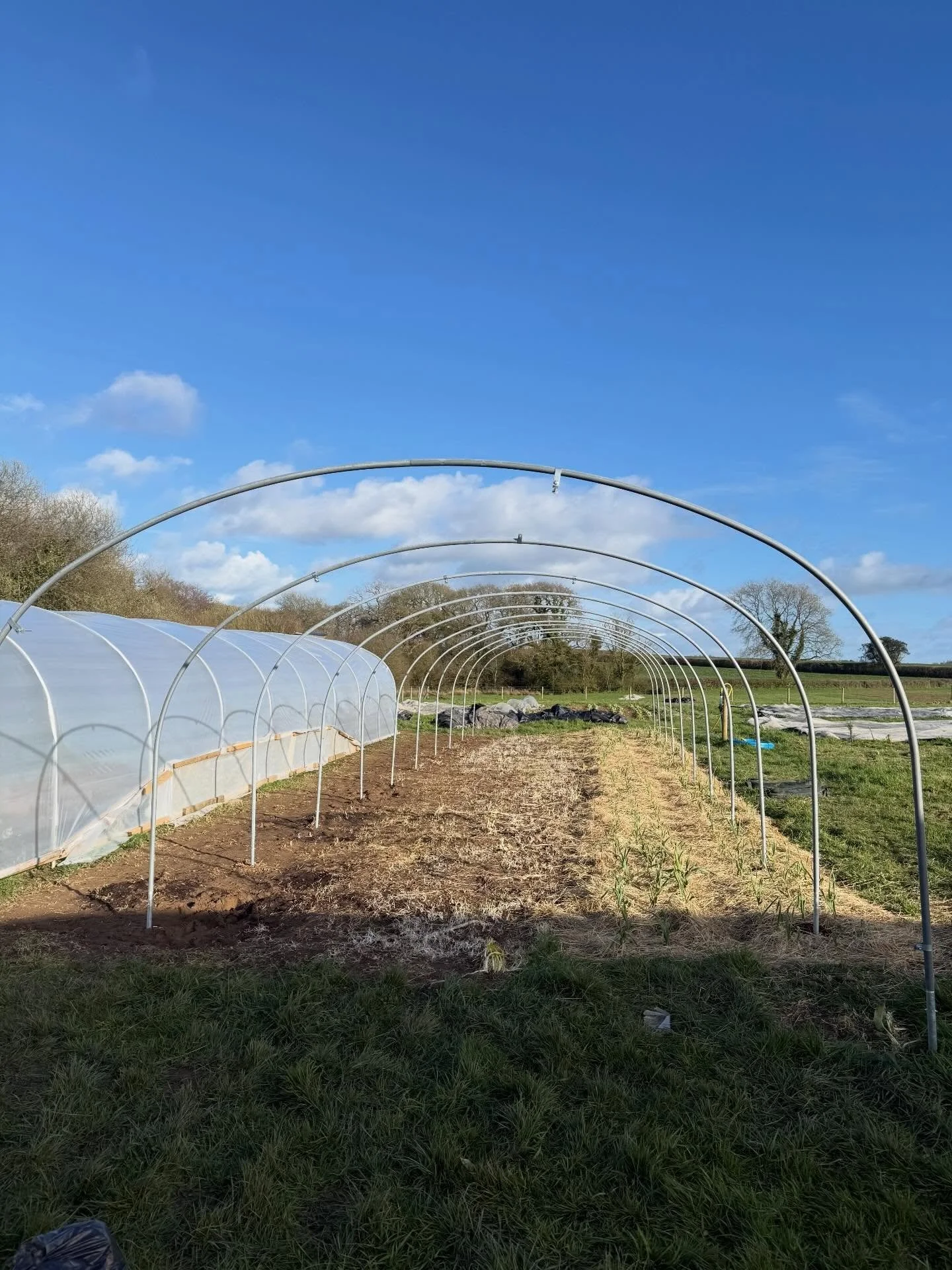 Today felt like a big one! The first 12 hour shift of the year! We got the first bits of the new tunnel up, it&rsquo;ll be great to have a whole tunnel dedicated to tomatoes this year. 

Measure twice and cut once everyone! The new hoop lime cita rig