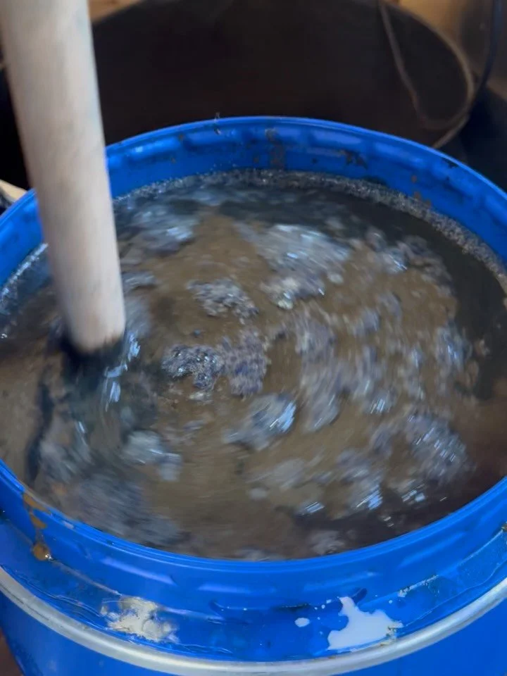 Week 13 round up! 

We&rsquo;ve got on the ground and now there&rsquo;s an urgency to complete all of our winter jobs finished before all the plants are ready to get in the ground; the dye studio is flowing and seeds are sowing. New crops will be com