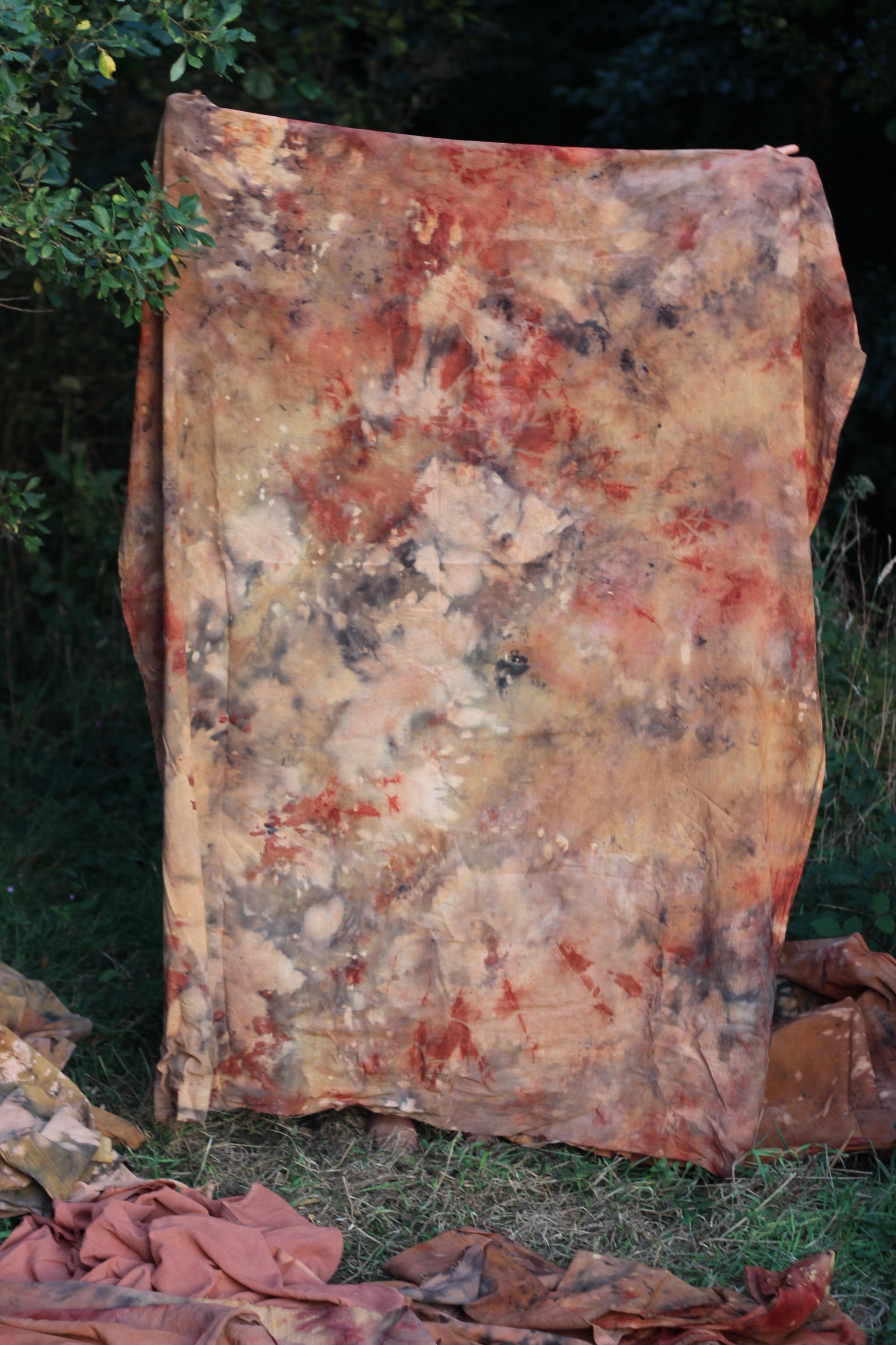 Copy of IMG_2988.jpg