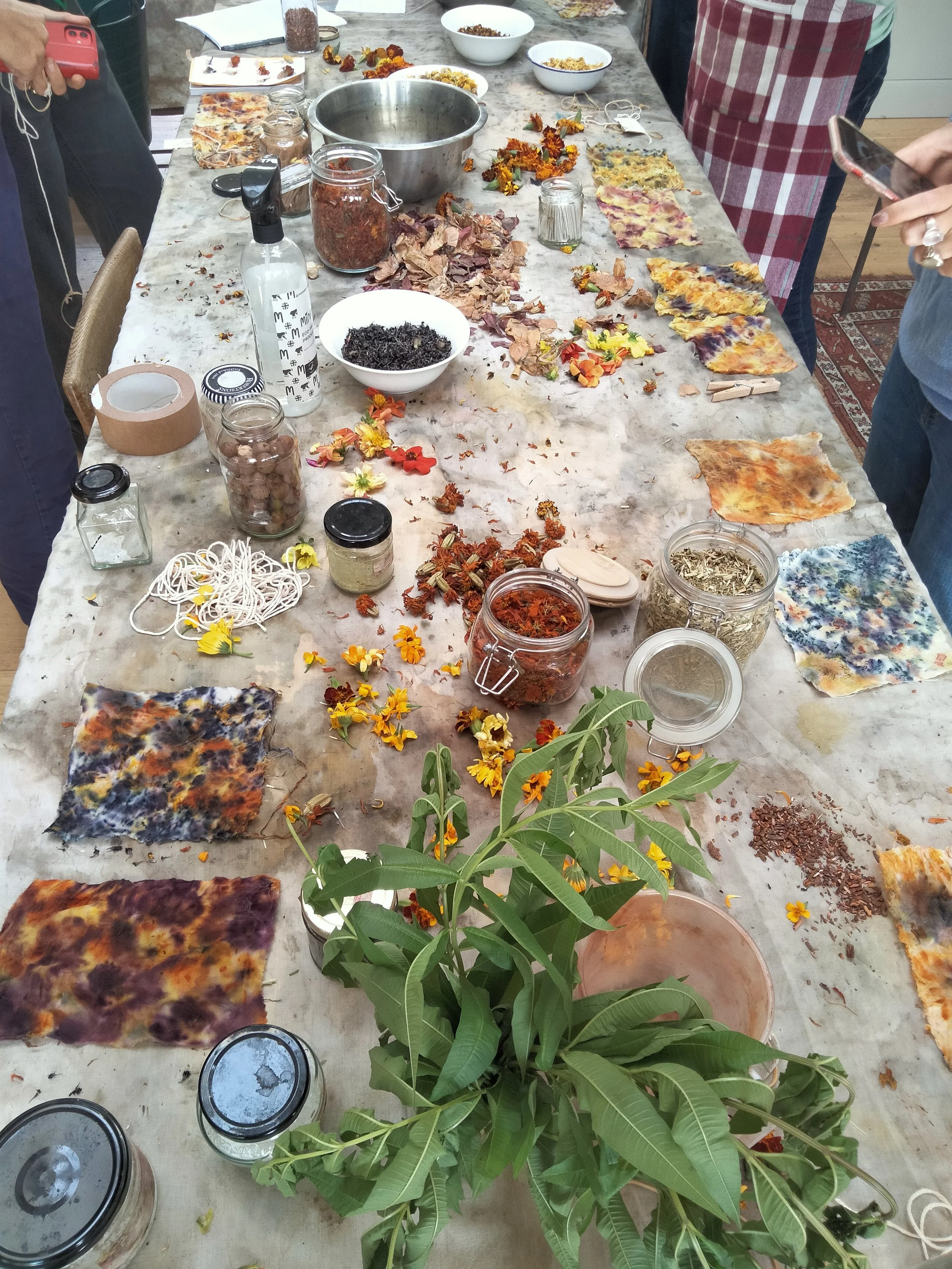 IMG20220909124437.jpg