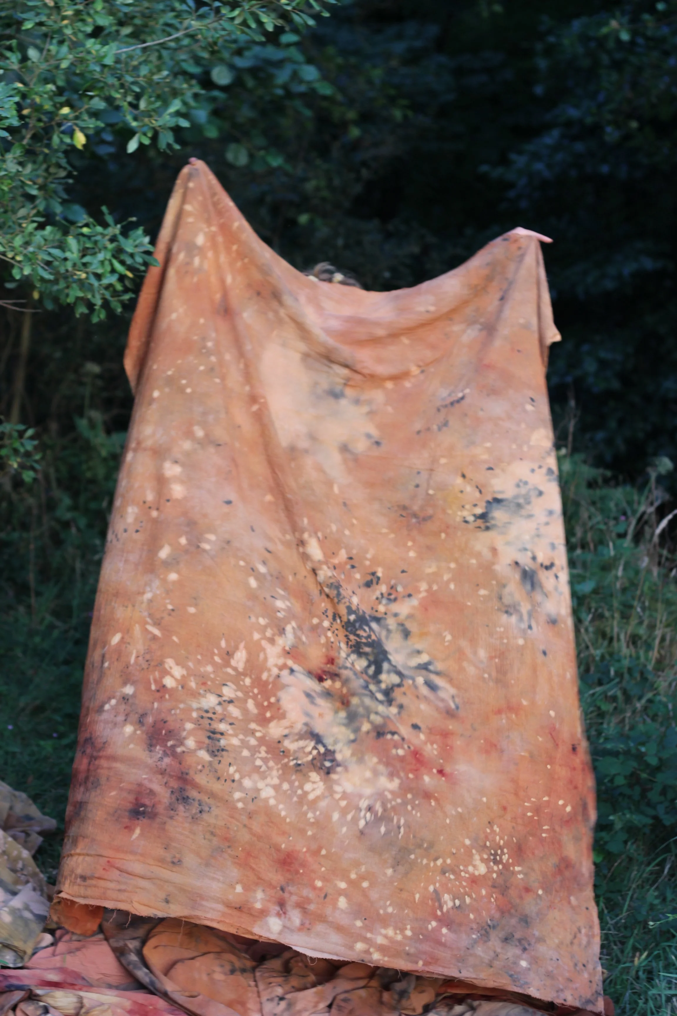 Copy of IMG_3006.jpg