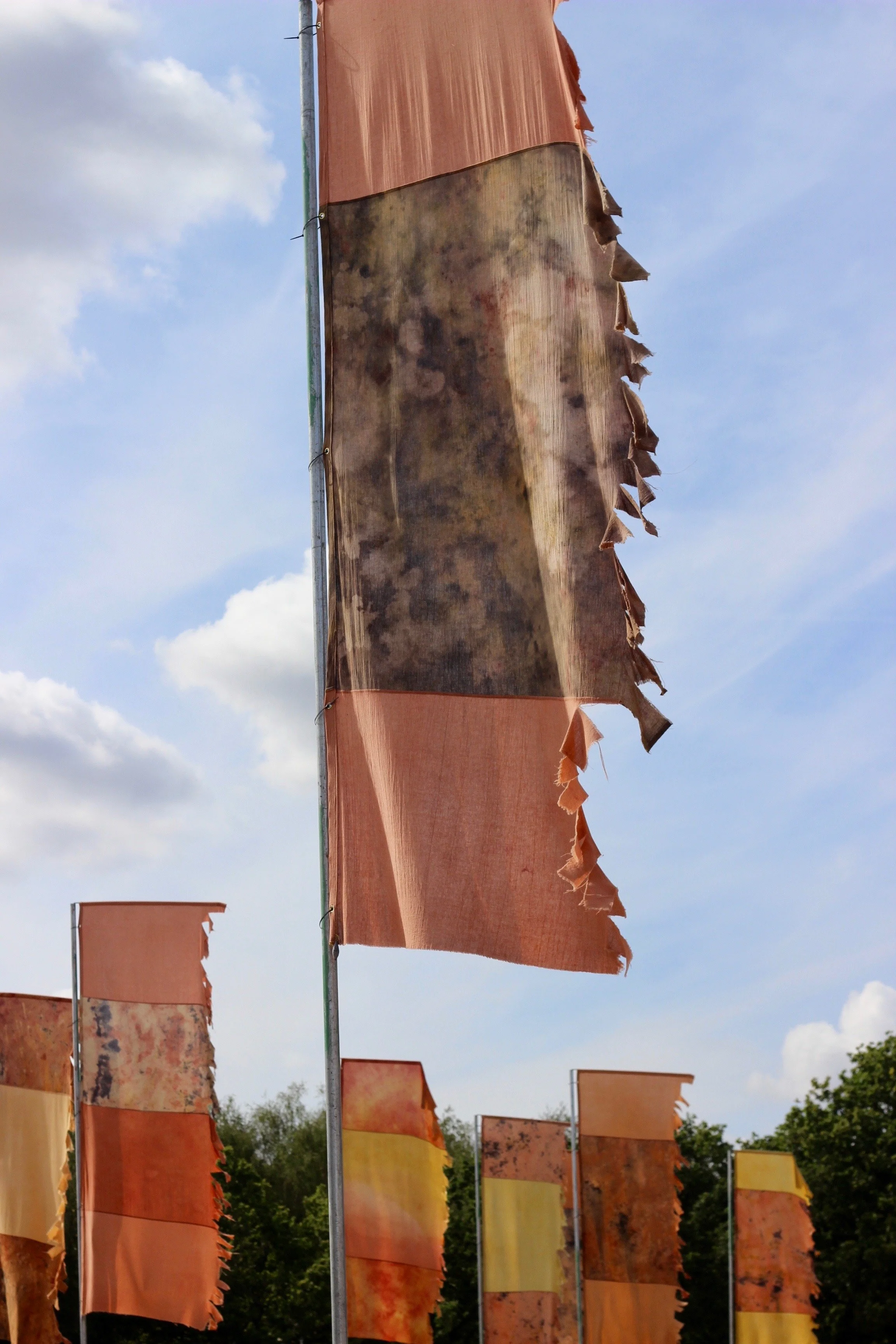 Copy of IMG_3060.jpeg