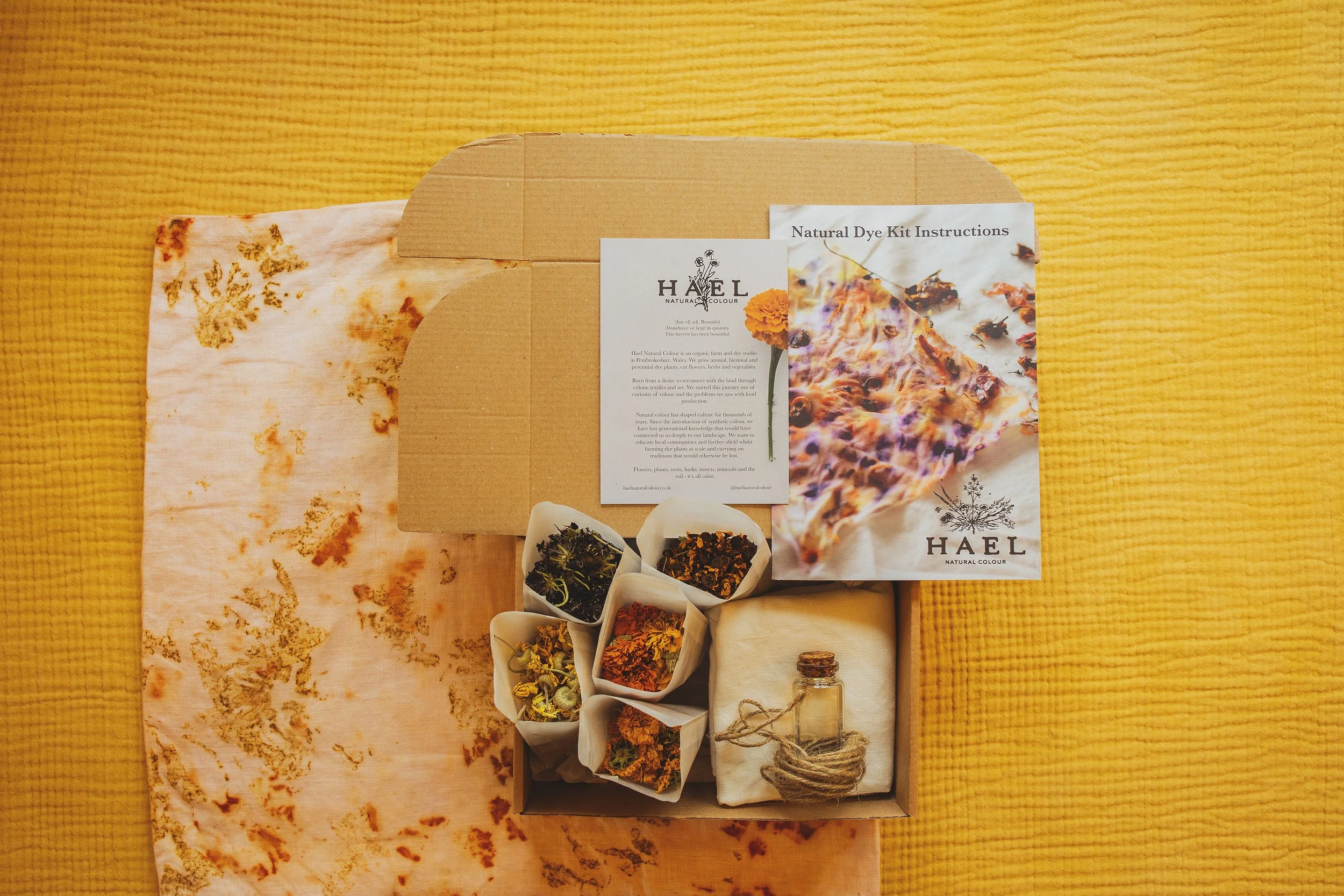 Bundle Dyeing Kit - Cushion Cover