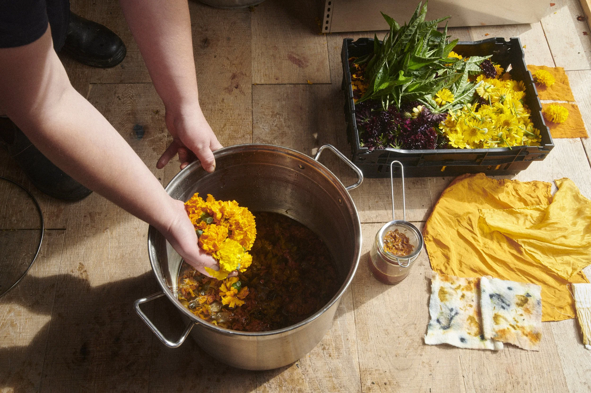 Hael Farm_2025_0879.jpg