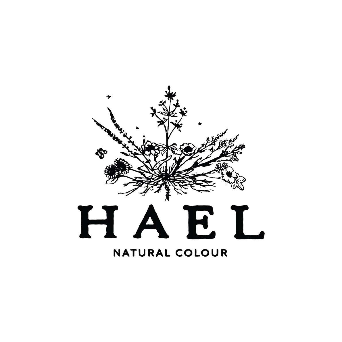 Hael---Main-Brand-Mark.jpg