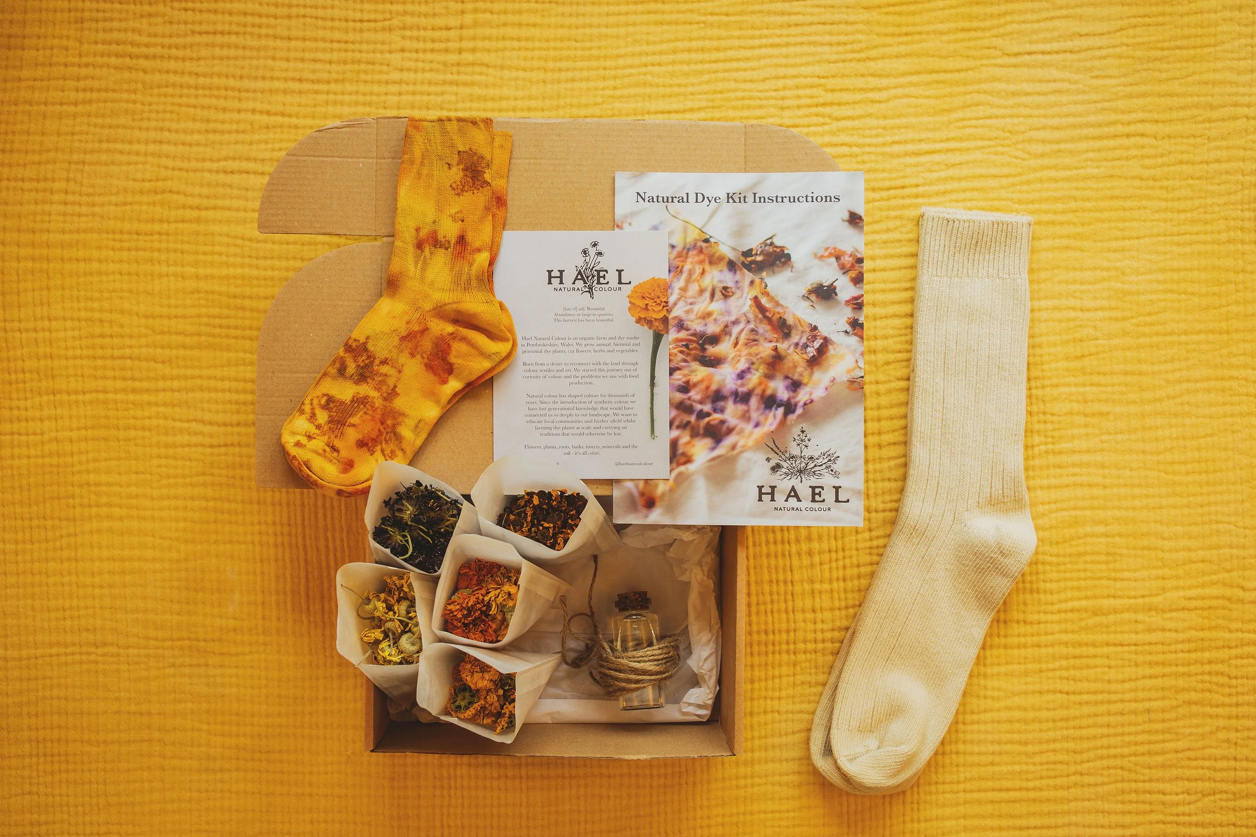 Bundle Dyeing Kit - Socks
