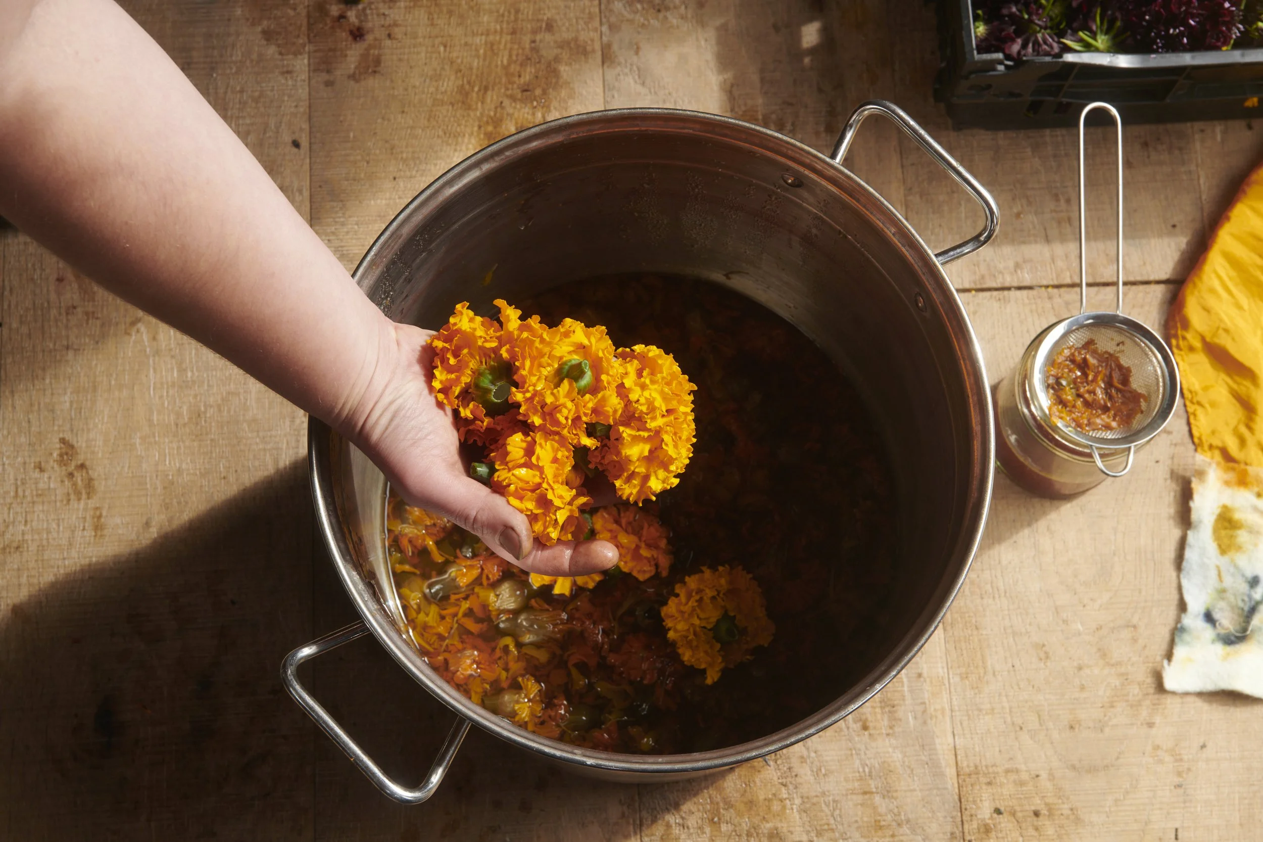 Hael Farm_2025_0880.jpg