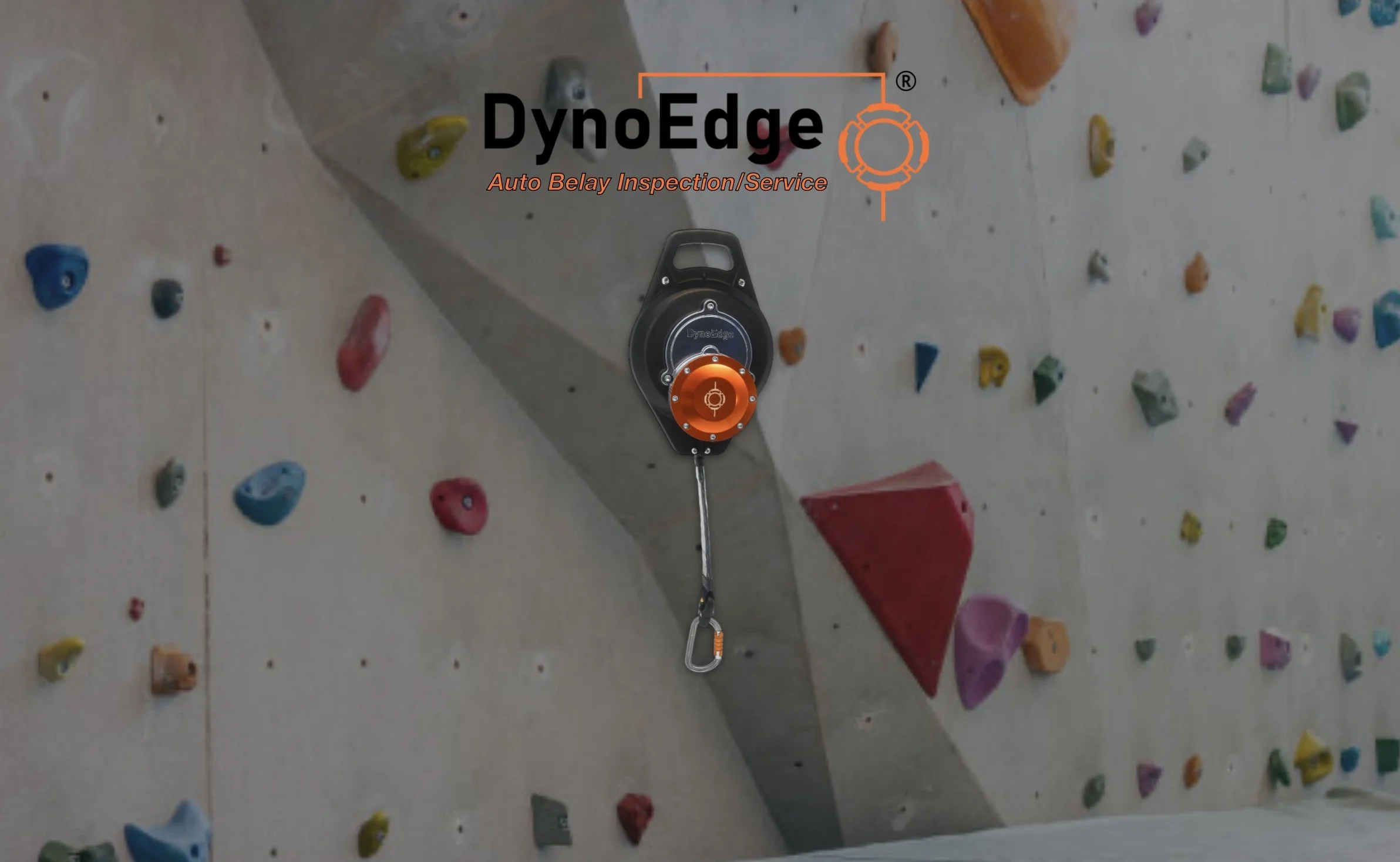 Dyno Auto Belay Inspection & Service.jpg