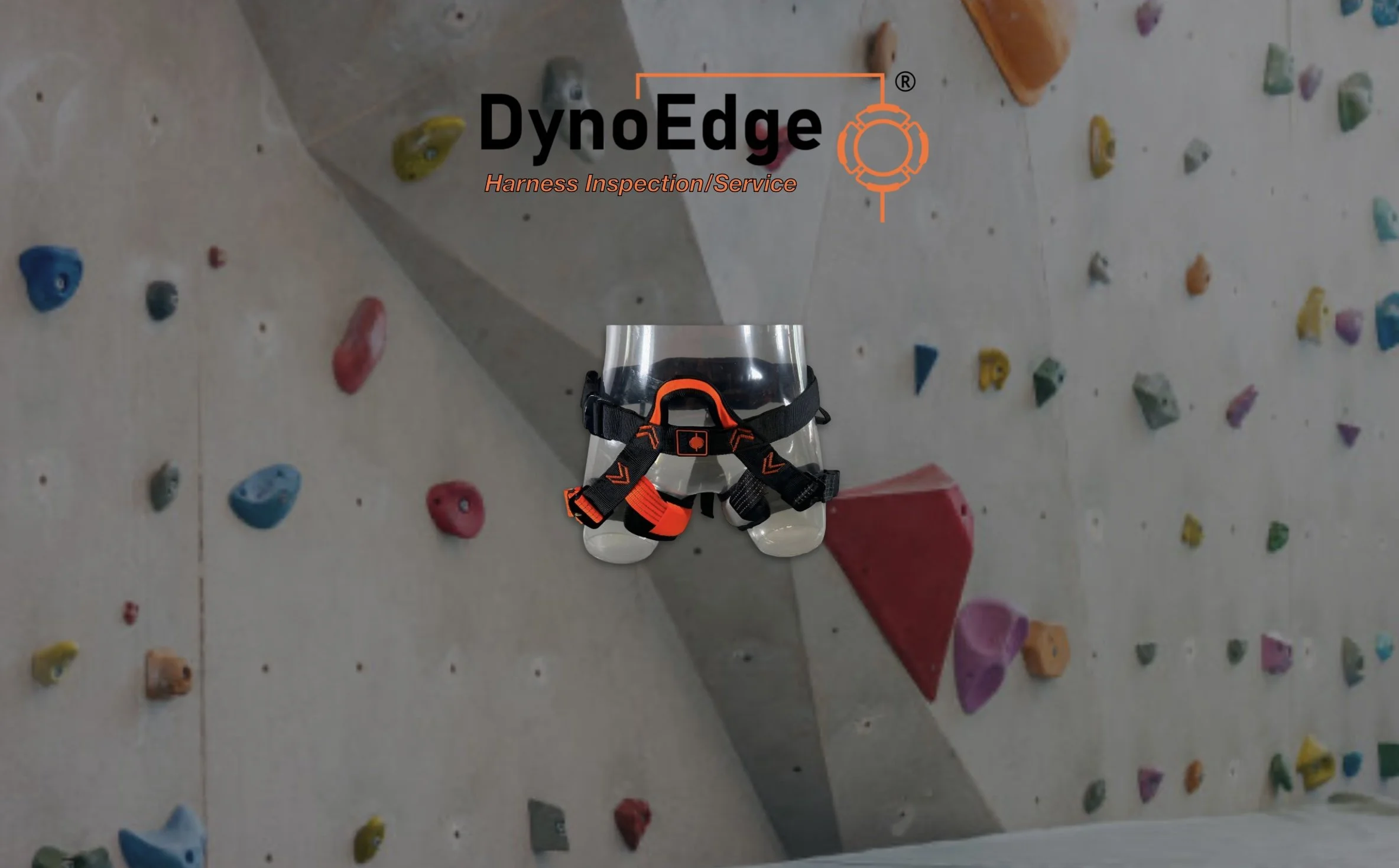 Dyno Auto Belay Harness Inspection & Service.jpg
