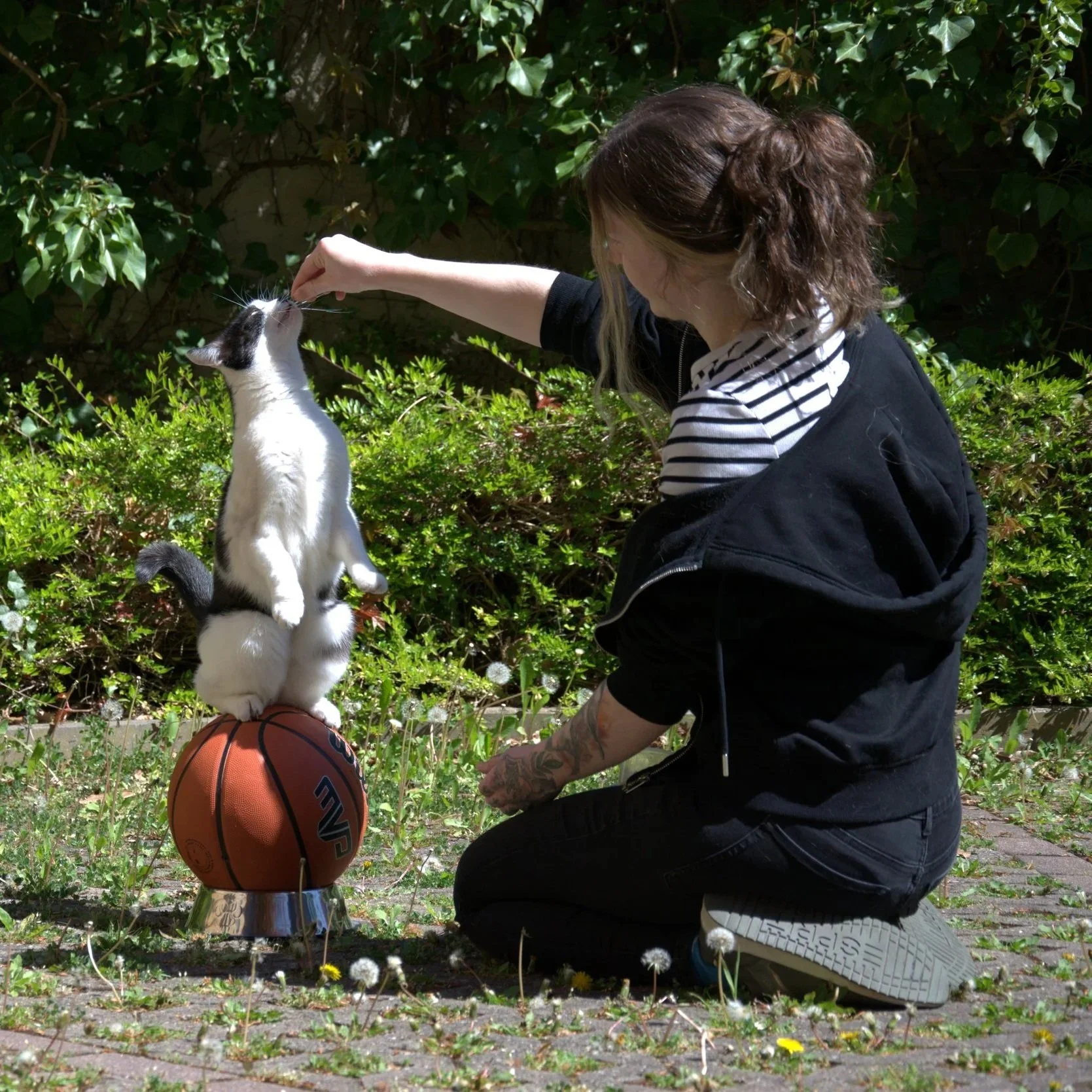Eine Frau mit Tattoos am Arm kniet auf einem Fußboden und füttert eine Katze, die auf einem Basketball sitzt. Die Katze ist schwarz-weiß und sitzt auf einem Basketball, der auf einem kleinen Ständer steht, im Garten mit grünen Sträuchern im Hintergrund.