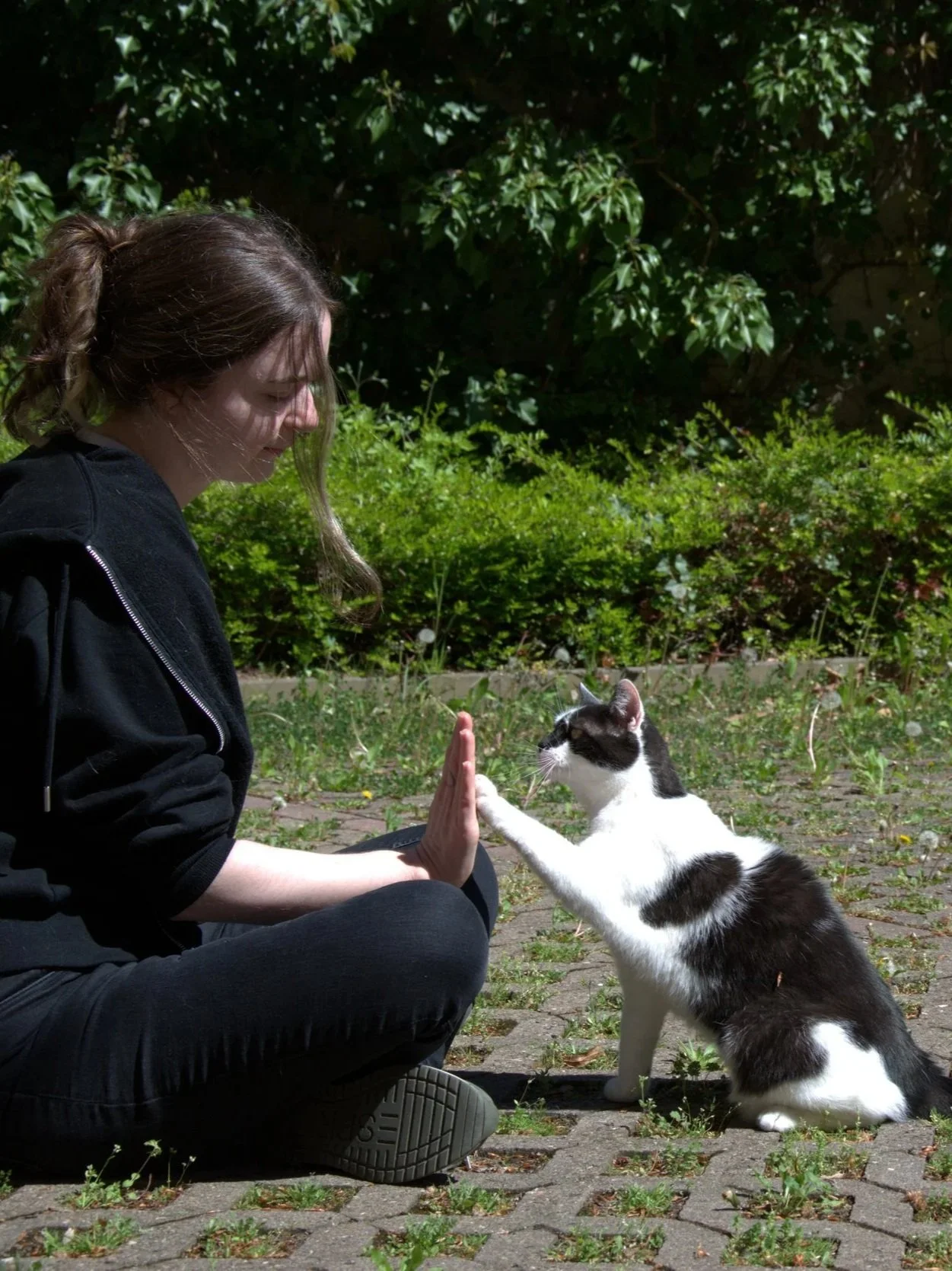 Eine junge Frau sitzt auf dem Boden im Freien und gibt einem schwarzen und weißen Hund einen High-Five, mit einem grünen Busch im Hintergrund.