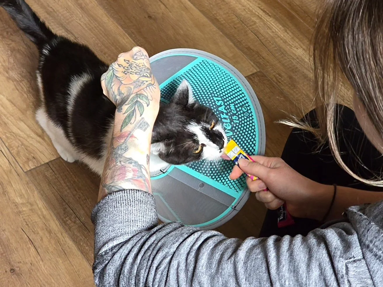 Mensch mit Tattoos gibt Katze folgendes Futter aus Tuben auf einem Futterautomat.