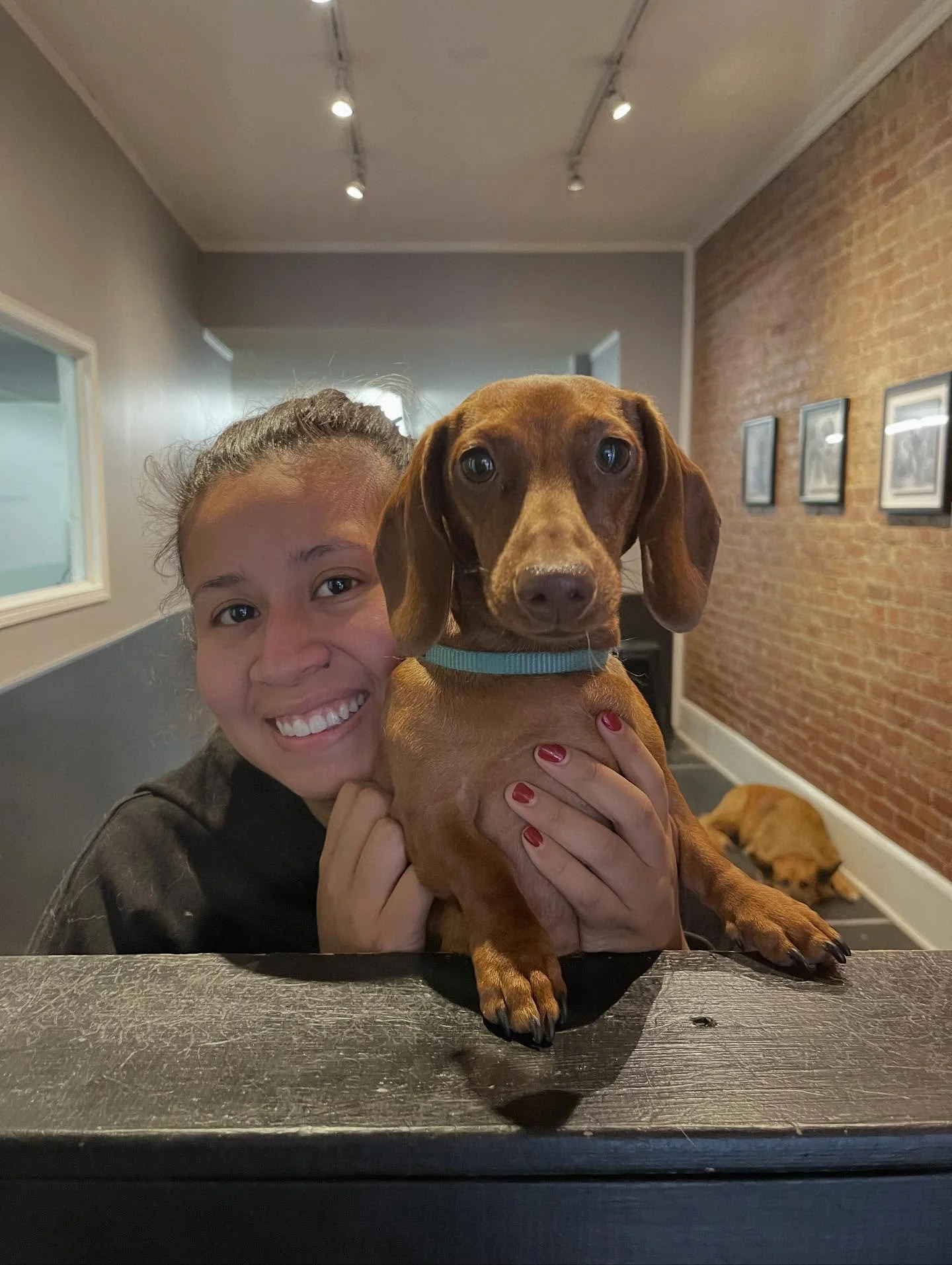 Cutie pies 🥰🐾🐶 #dogsofinstagram #puppiesofinstagram #dogs #puppies #dogdaycare #doggydaycare #torontodogs  #bestfriends #doggiedaycare #puppiesplaying #dogmoms #dogmom #doggrooming #happydogs #highpark #bloorwestvillage #junctionto