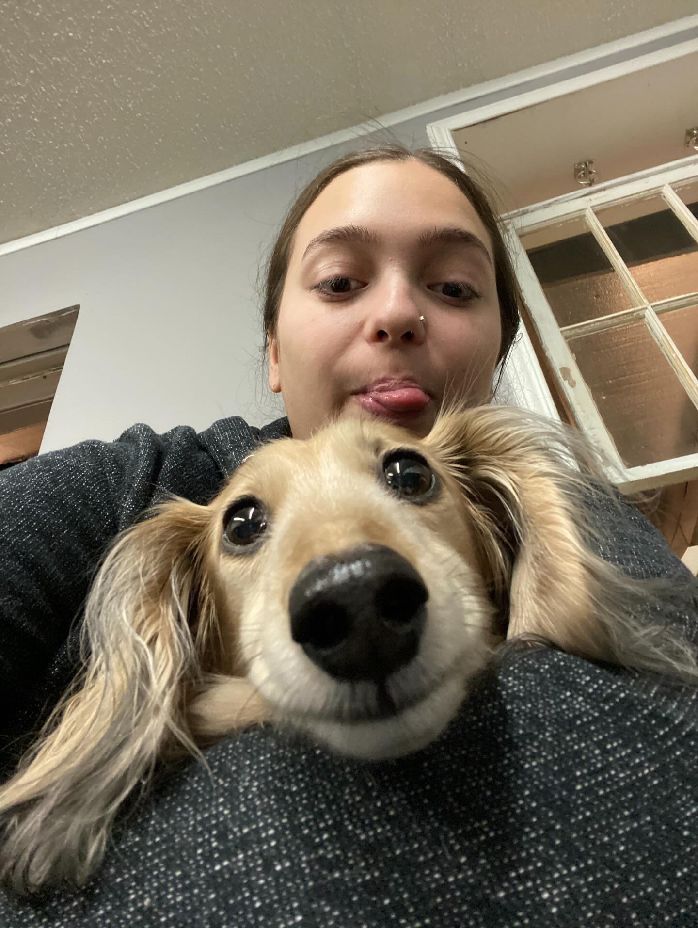 Happy Monday! ✨❤️🐾 #dogs #puppies #doggydaycare #bestfriends #bestjobever