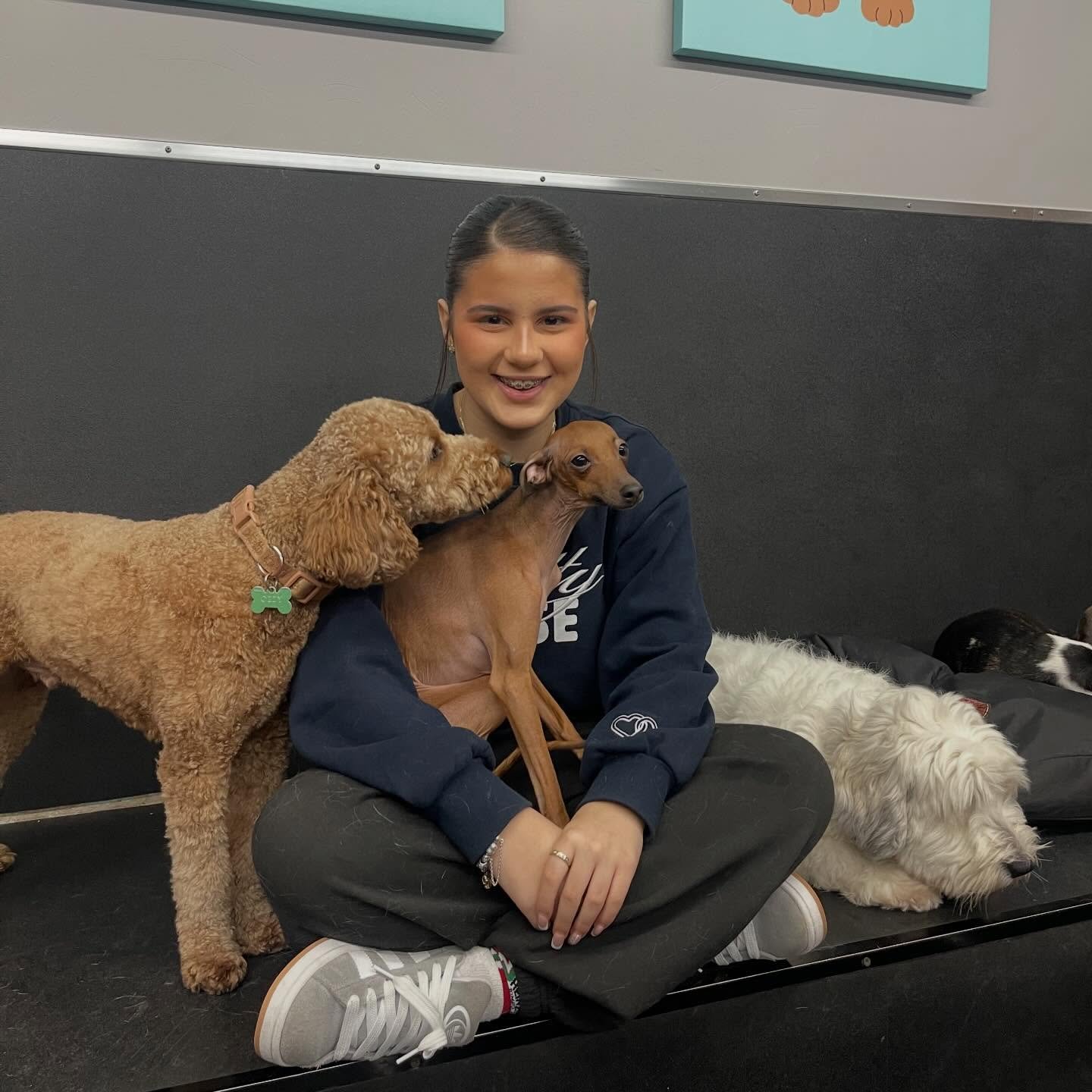 🐾🥰❤️ #bestjobever #itsadogslife #doggydaycarelife #dogs #puppies