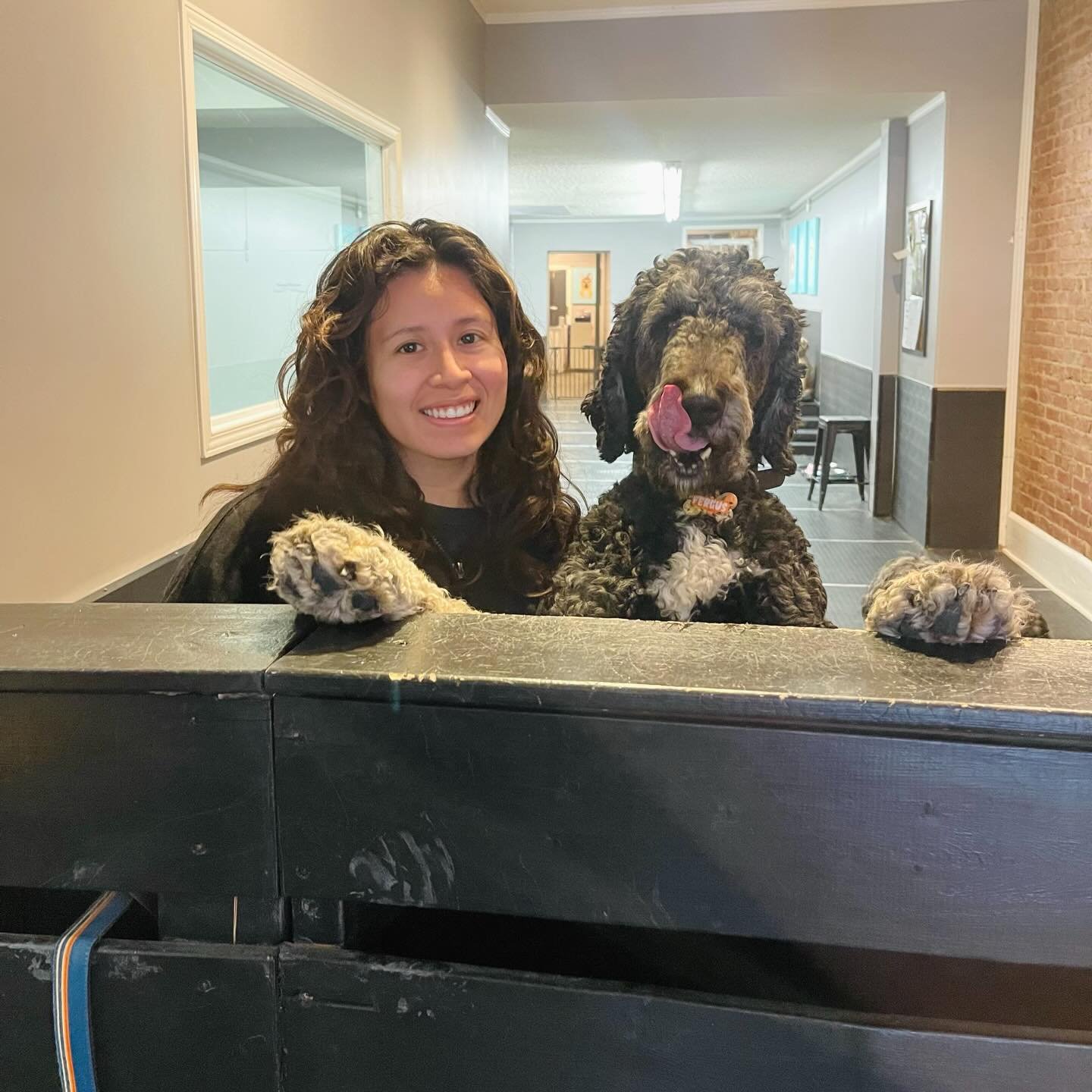 Happy Thursday! ✨🐾❤️ #happyplace #dogsofinstagram #puppiesofinstagram #doggydaycare #doggydaycarelife