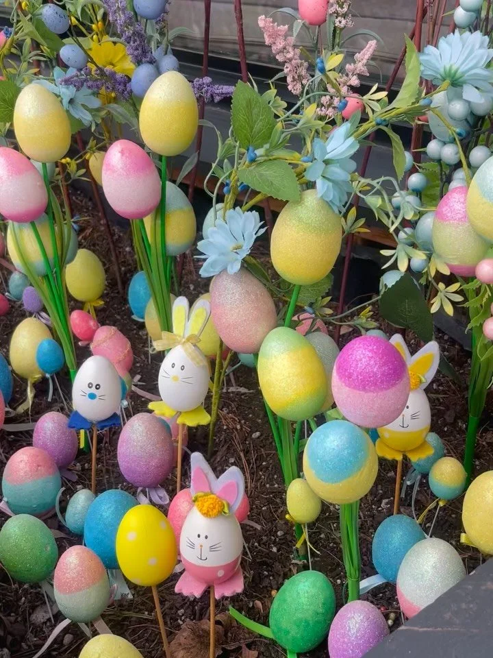 We needed some colour today! 🌸🌼🌷🌺🌸 A reminder that Tailwaggers will be closed on Friday April 3 and Monday April 6 for an extended Easter weekend! 🐰🐰🐾