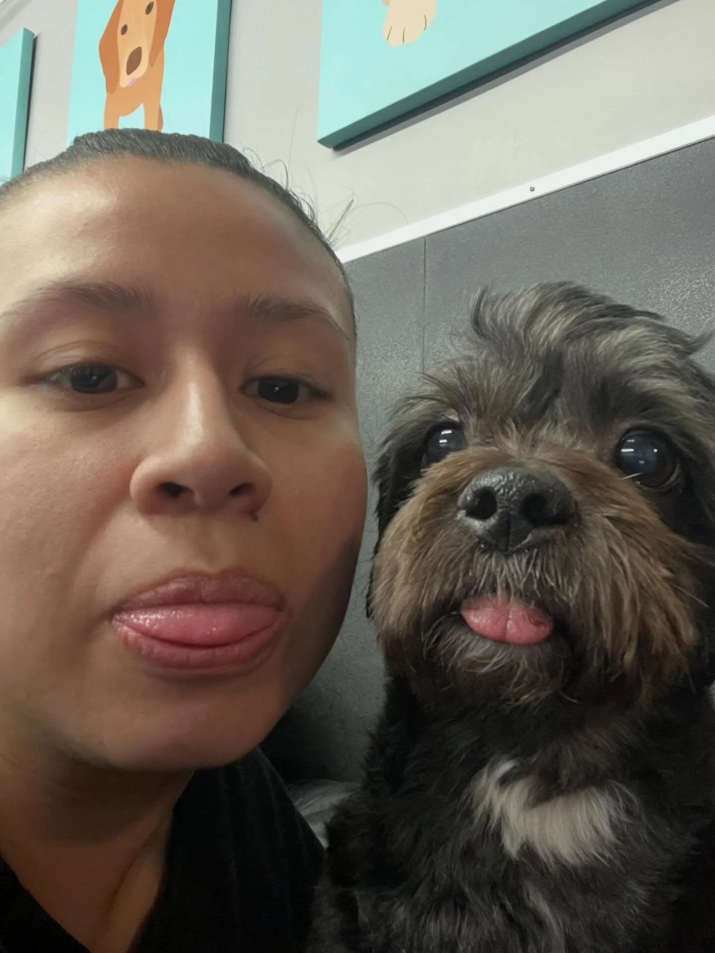 Best. Job. Ever. 🥰🐾🦴 #bestjobever #doggydaycare #doggydaycarelife #doglove #bestfriends