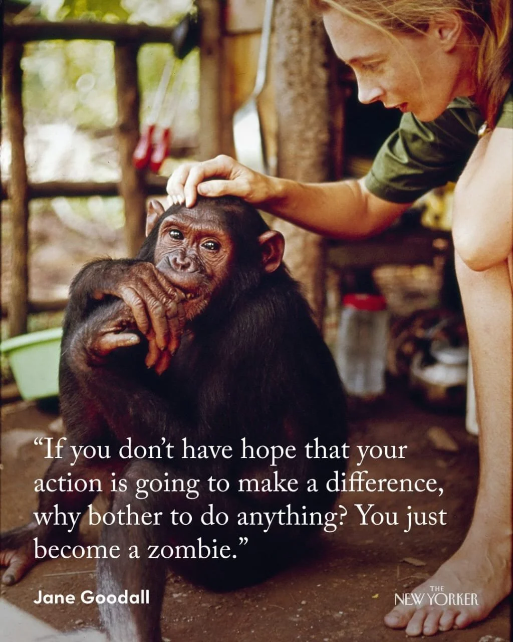 ane Goodall emphasized compassion, individual responsibility, and hope, making her a leading voice in conservation and human responsibility toward the planet. She will be dearly missed.
#JaneGoodall #JaneGoodallRIP #janegoodallinstitute