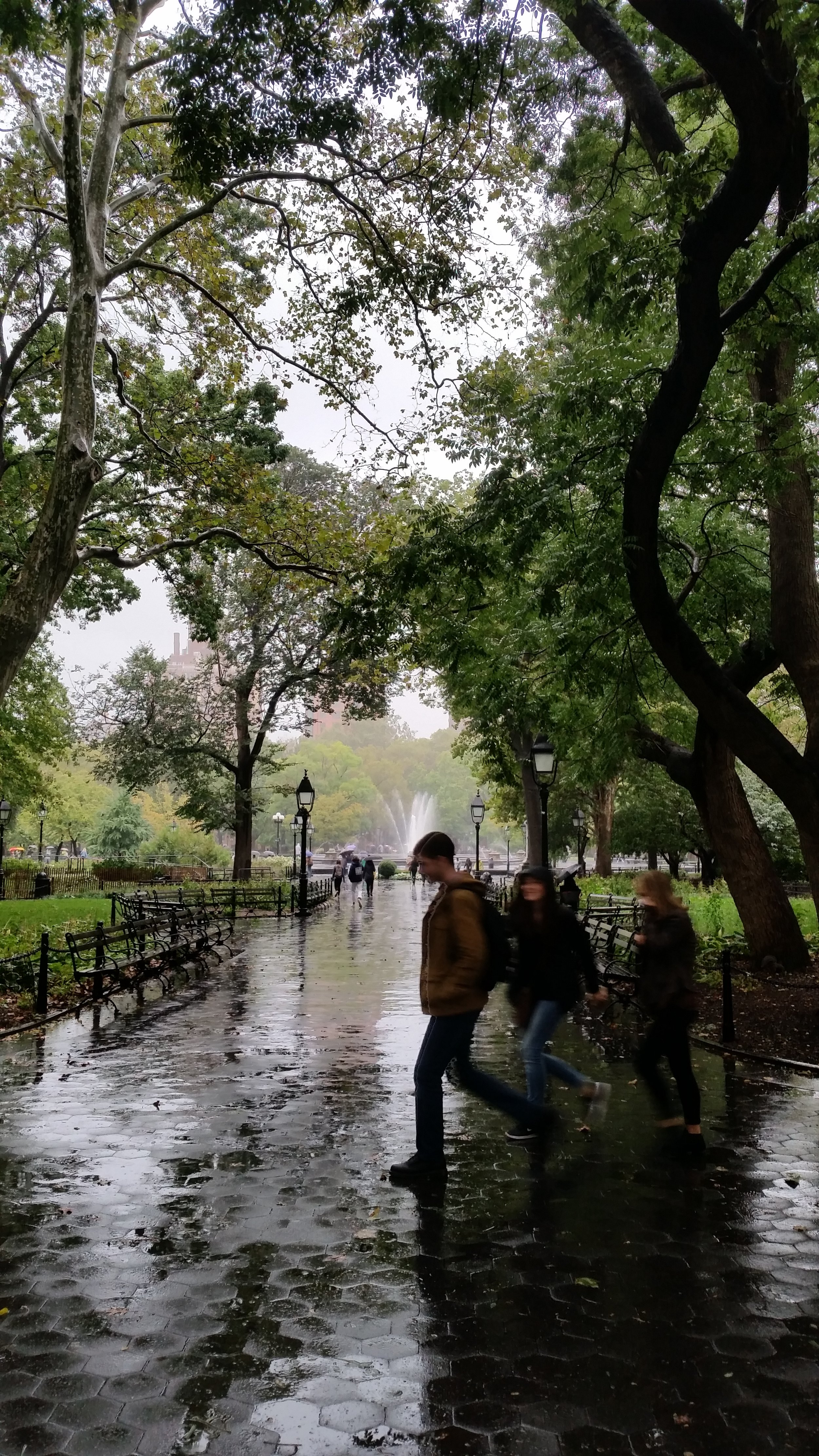 20160930_172304.jpg