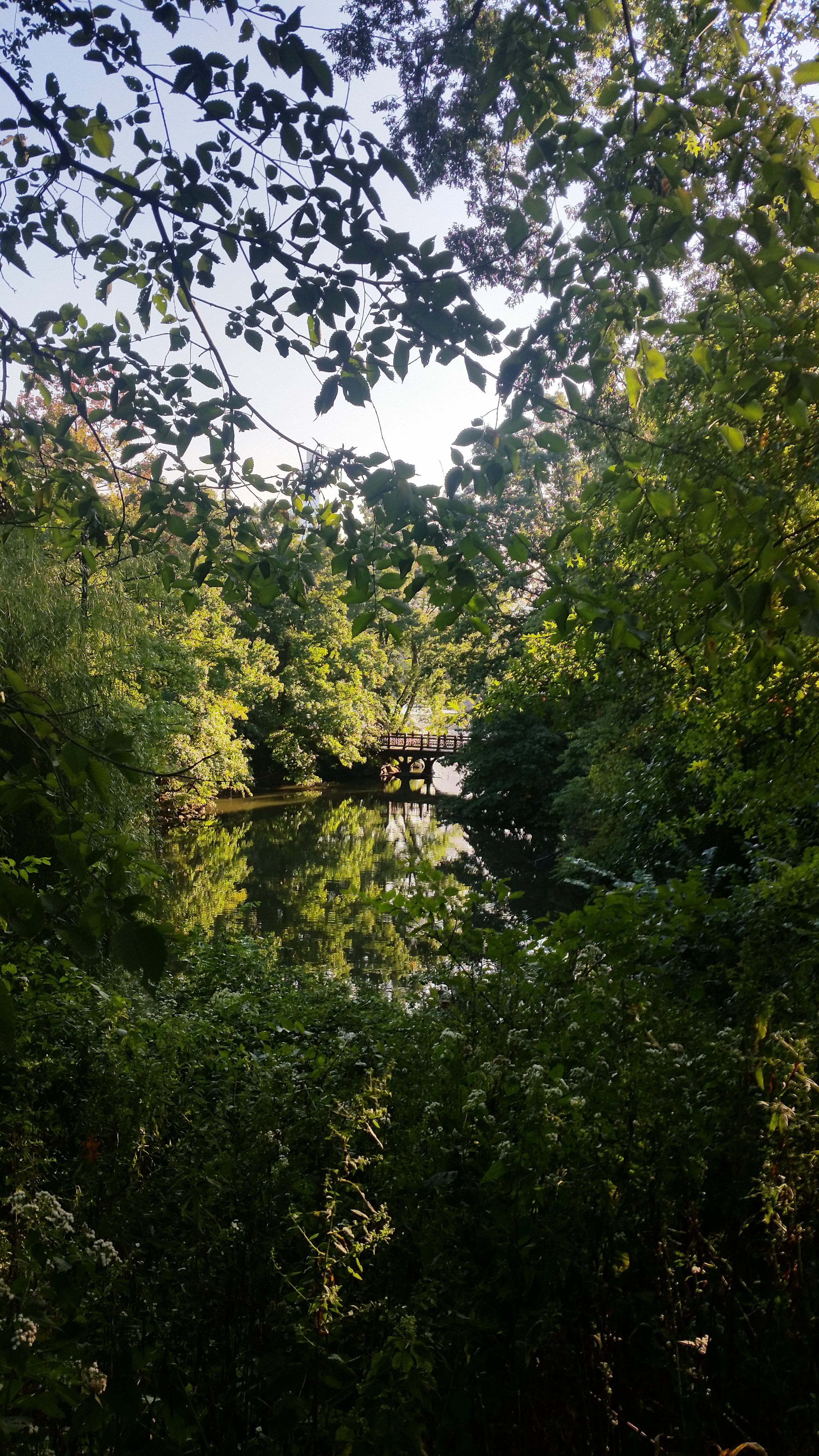20161006_165154.jpg