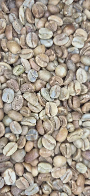 Colombia Diego Vergara Chiroso