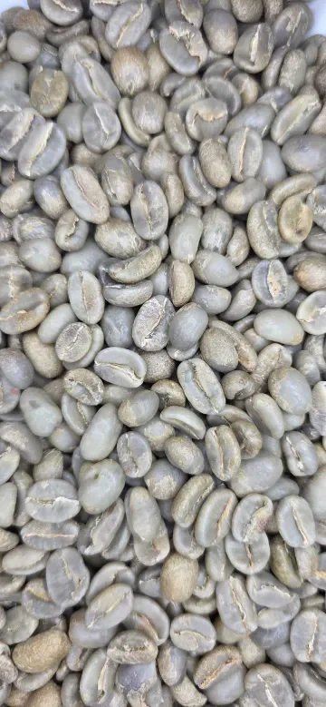 Colombia Juliana Guevara & Weimar Lasso Java