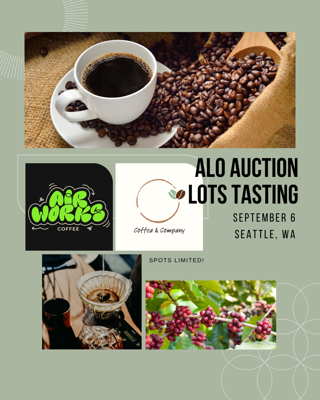 Alo Auction Lots Tasting