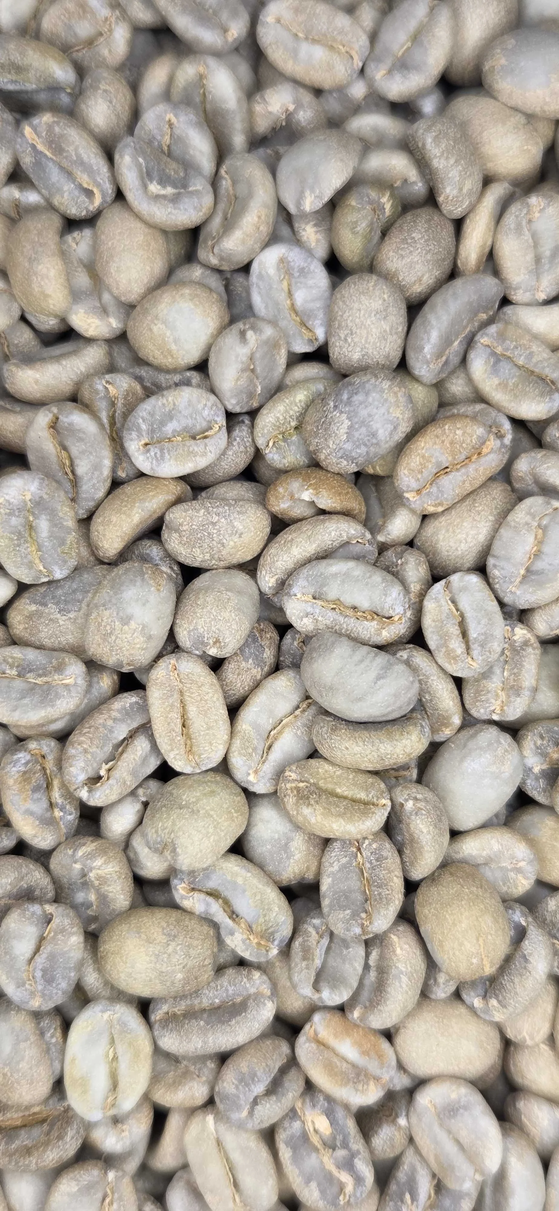 Ethiopia Alo Coffee 74158