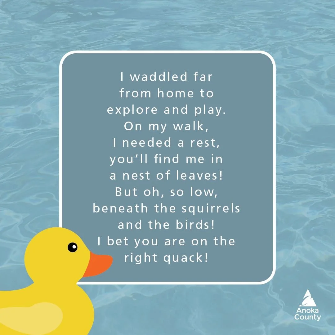🔎 The Great Duck Hunt of 2026 🦆 Clue 2

I waddled far from home to explore and play. On my walk I needed a rest, you&rsquo;ll find me in a nest of leaves! But oh, so low, beneath the squirrels and the birds! I bet you are on the right quack! 🪹🍂

