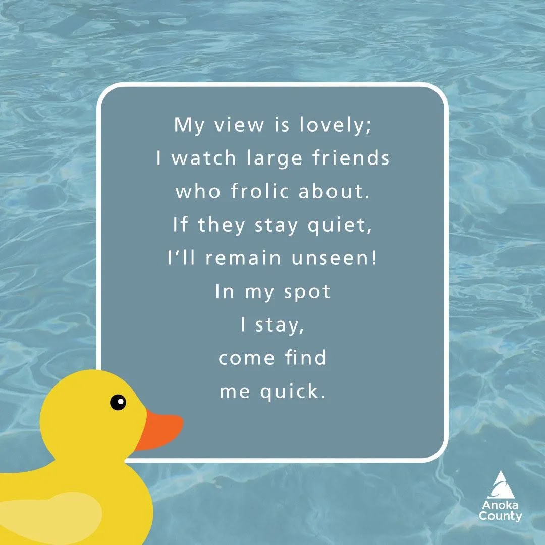 🔎 The Great Duck Hunt of 2026 🦆 Clue 3

My view is lovely; I watch large friends who frolic about. If they stay quiet, I&rsquo;ll remain unseen! In my spot I stay, come find me quick. 🤫👀

#BunkerBeachMN #BunkerHills