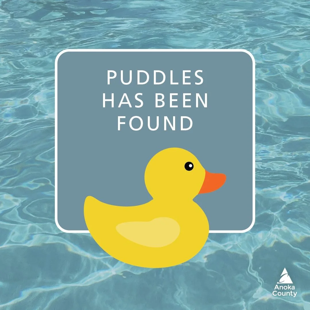 Puddles has been found! 👏

Thank you all for playing. Congratulations to the lucky winner, see you at Bunker Beach this summer.