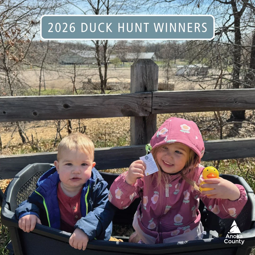 Last week Puddles the Duck was found behind a fence post on the path overlooking Bunker Stables. 

Congratulations to Bergen and Boden for finding Puddles! Have fun exploring the parks and visiting Bunker Beach this summer. 🎉 🦆👏

Thanks again to e